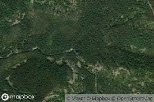 Mink Creek