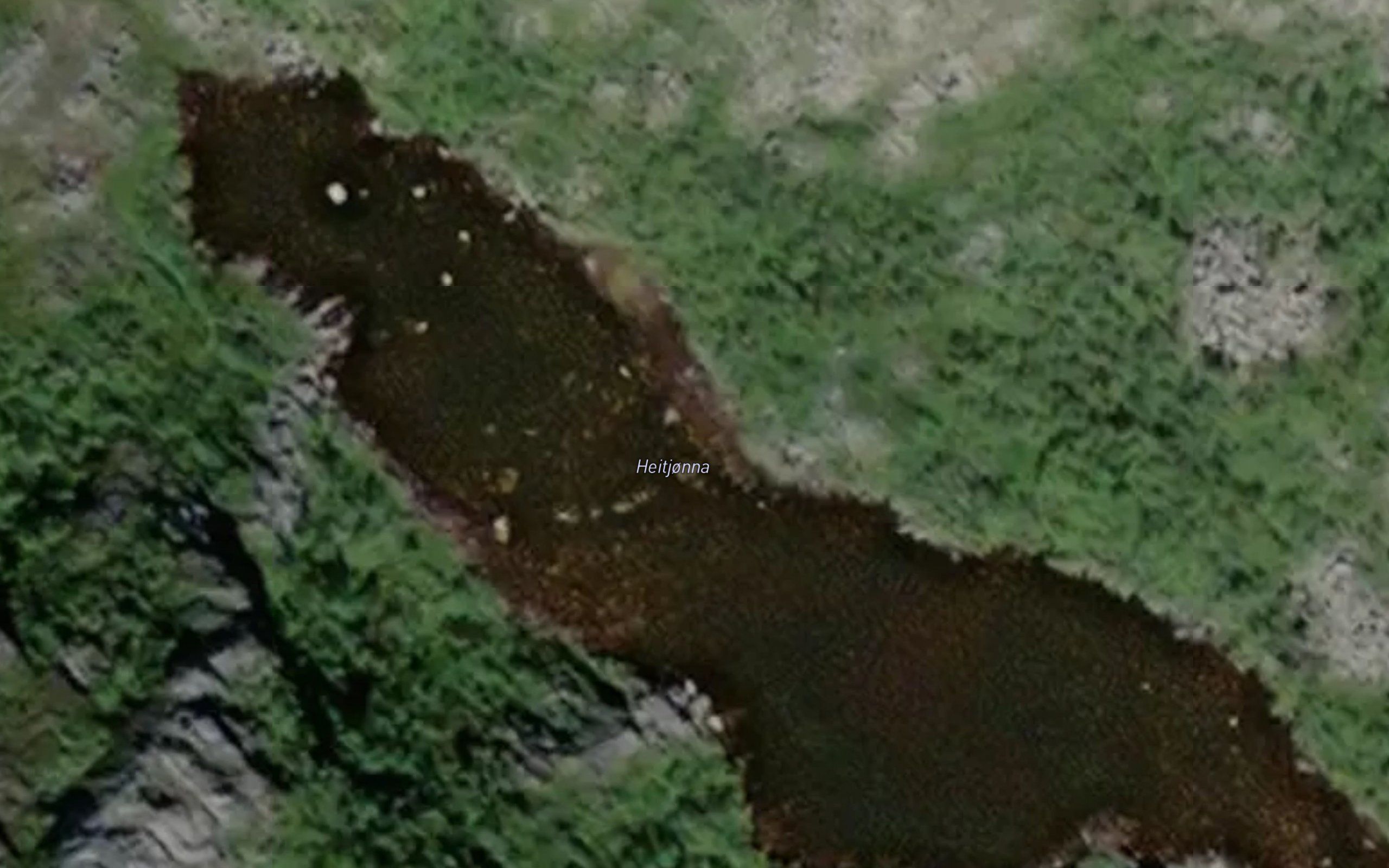Heitjorna