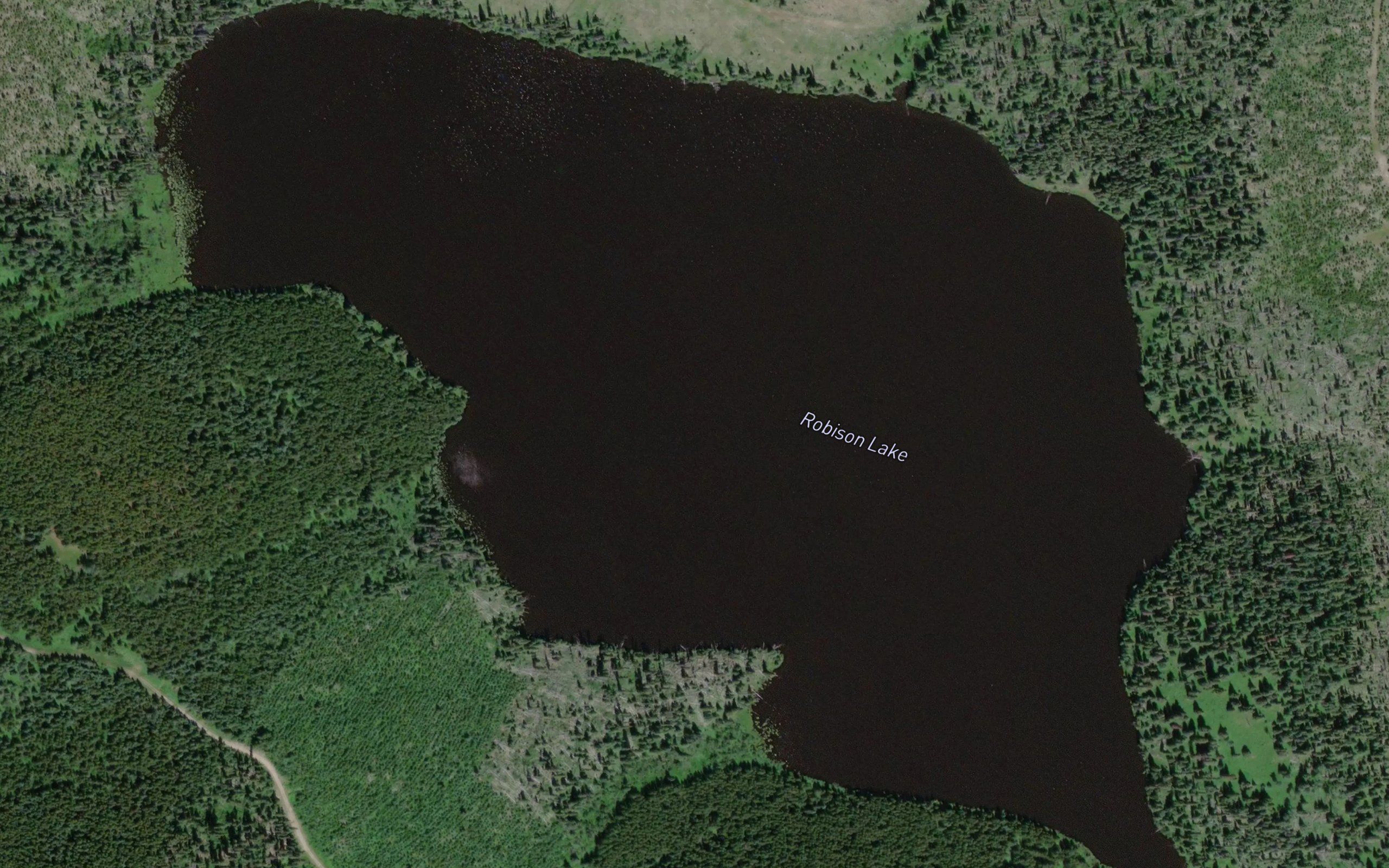 Robison Lake