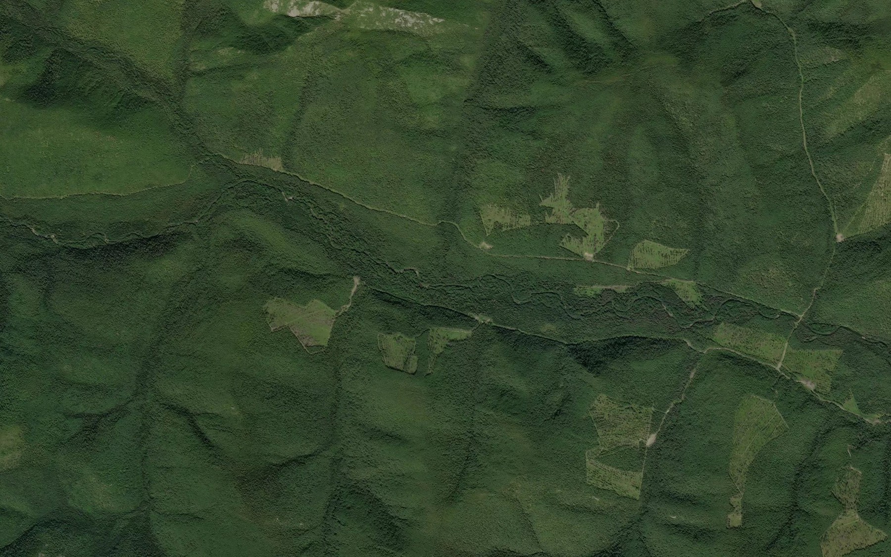 Satellite map of the Tobornyy