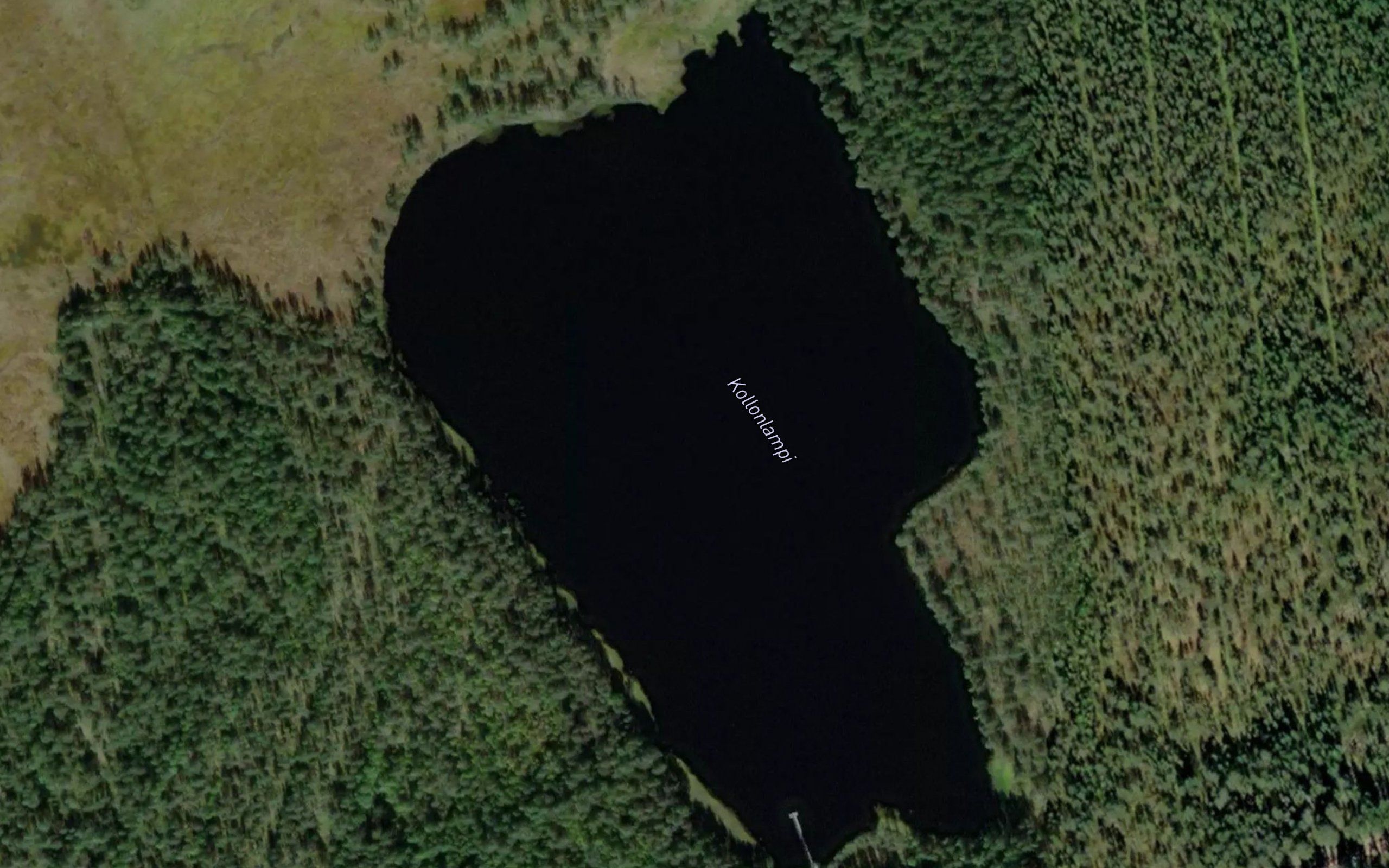 Kollonlampi