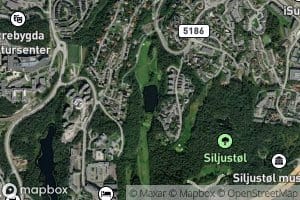 Steinsvikvatnet
