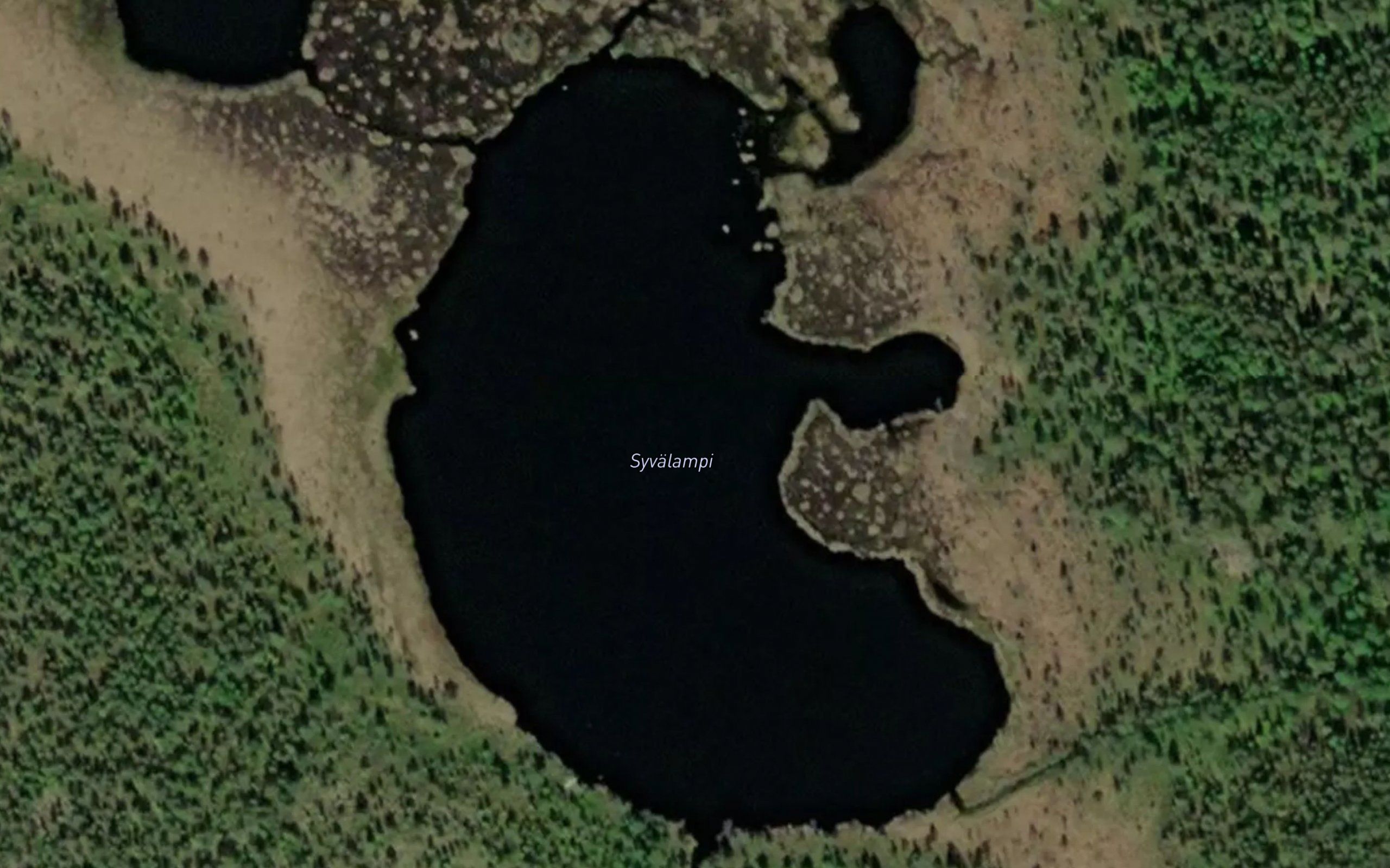 Syvalampi