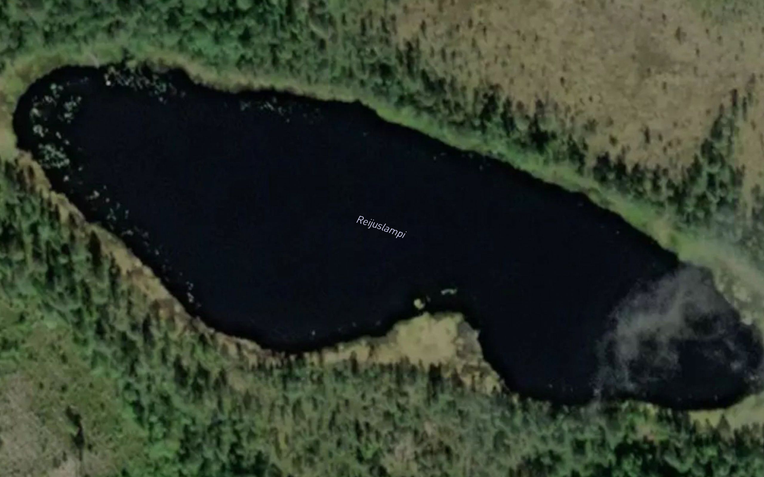 Reijuslampi