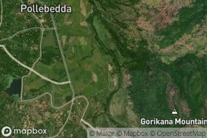 Gurikana Ela