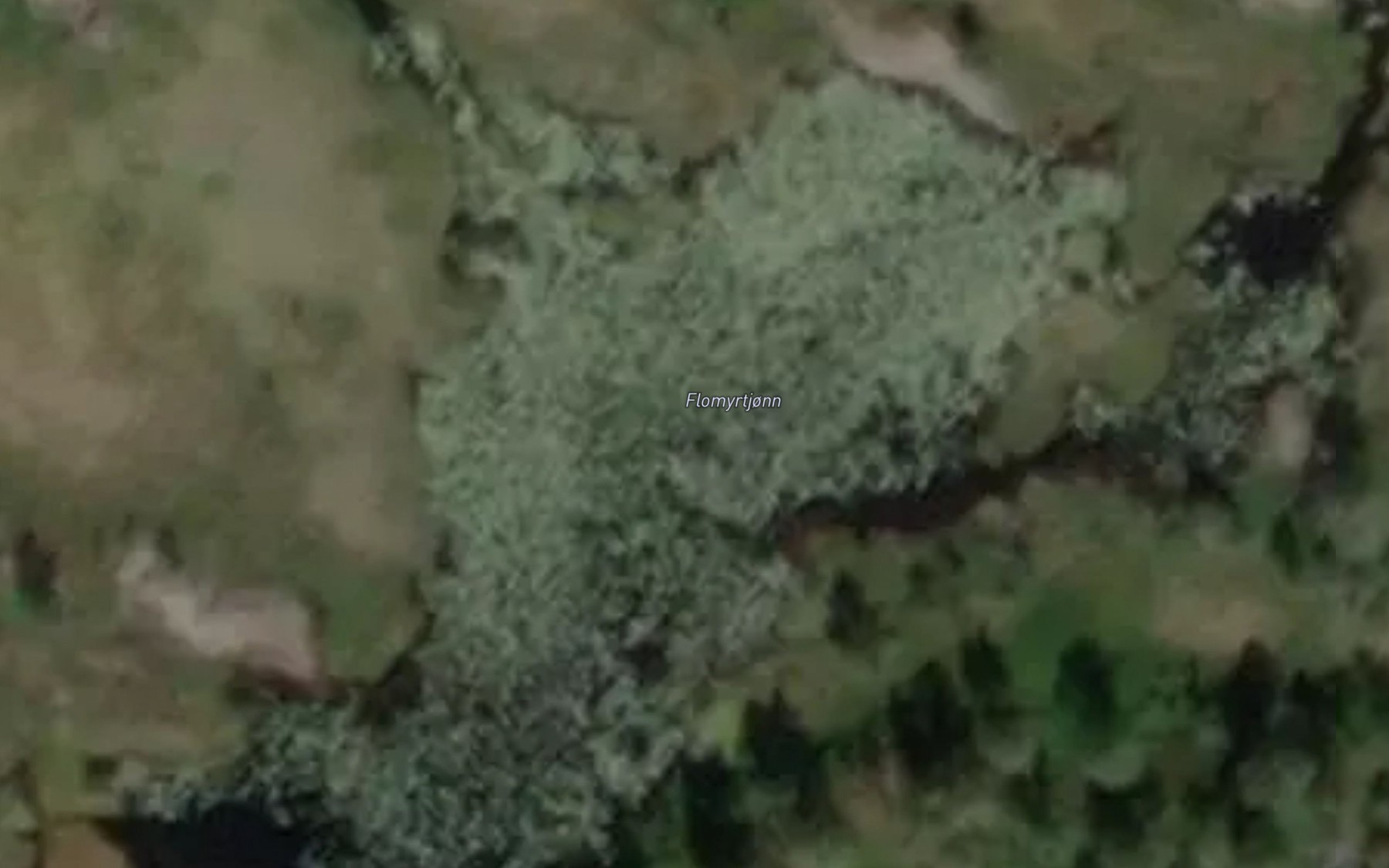 Satellite map of the Flomyrtjonn