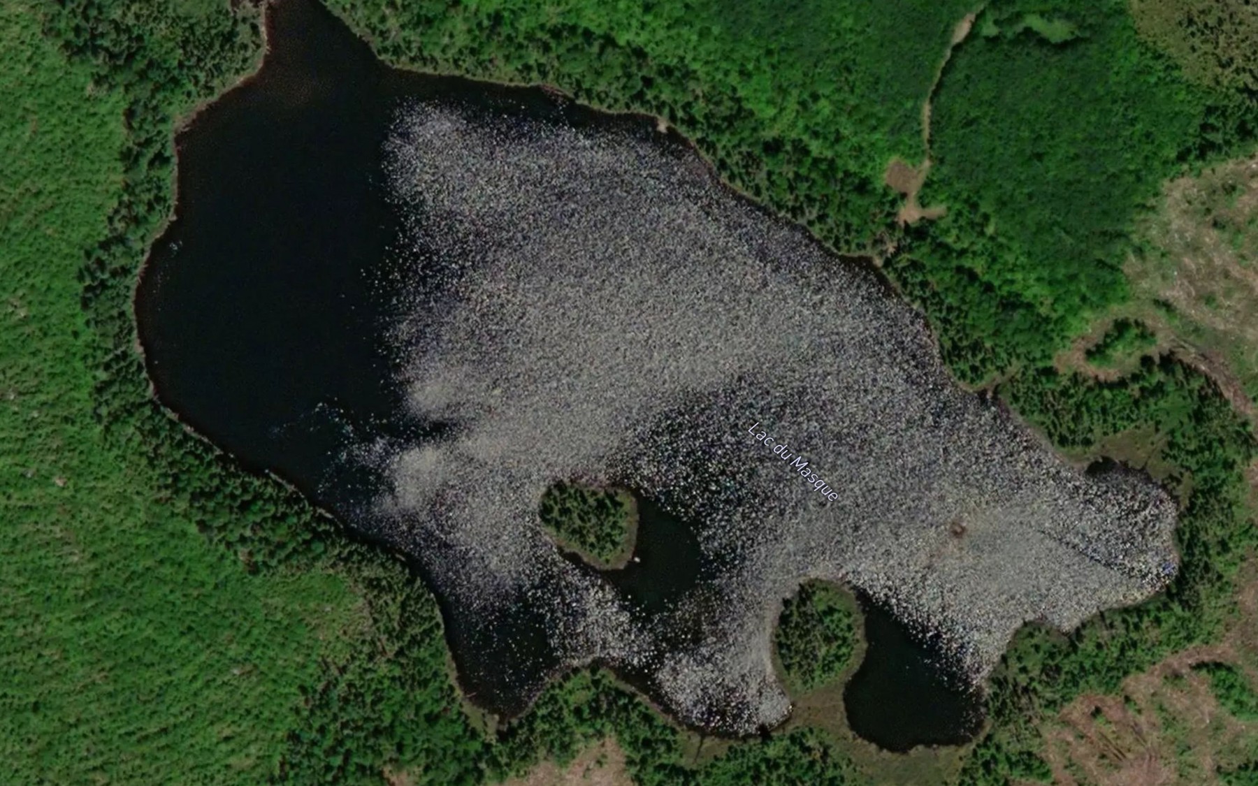 Satellite map of the Lac du Masque