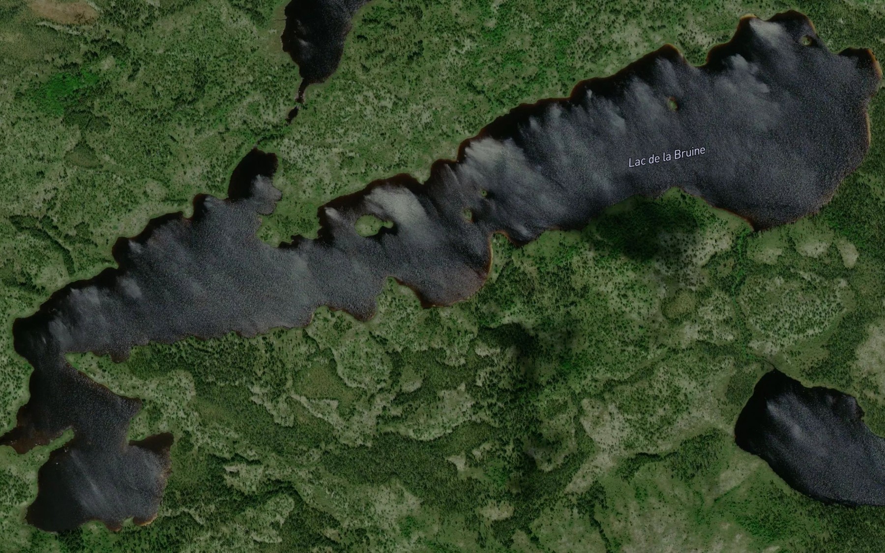 Satellite map of the Lac de la Bruine