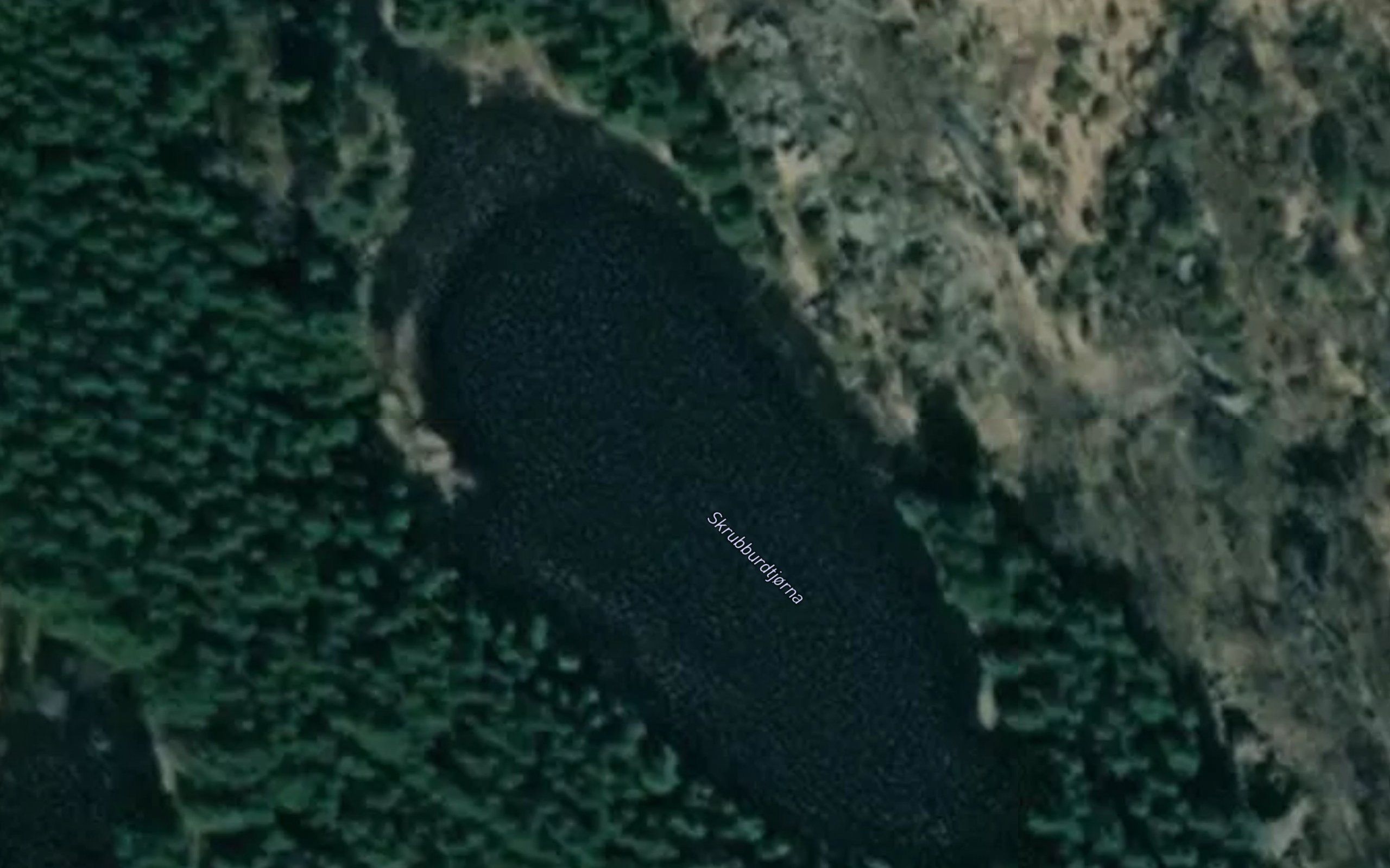 Skrubbursdtjorna