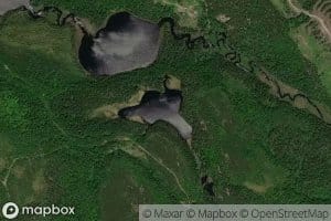 Lac Bill