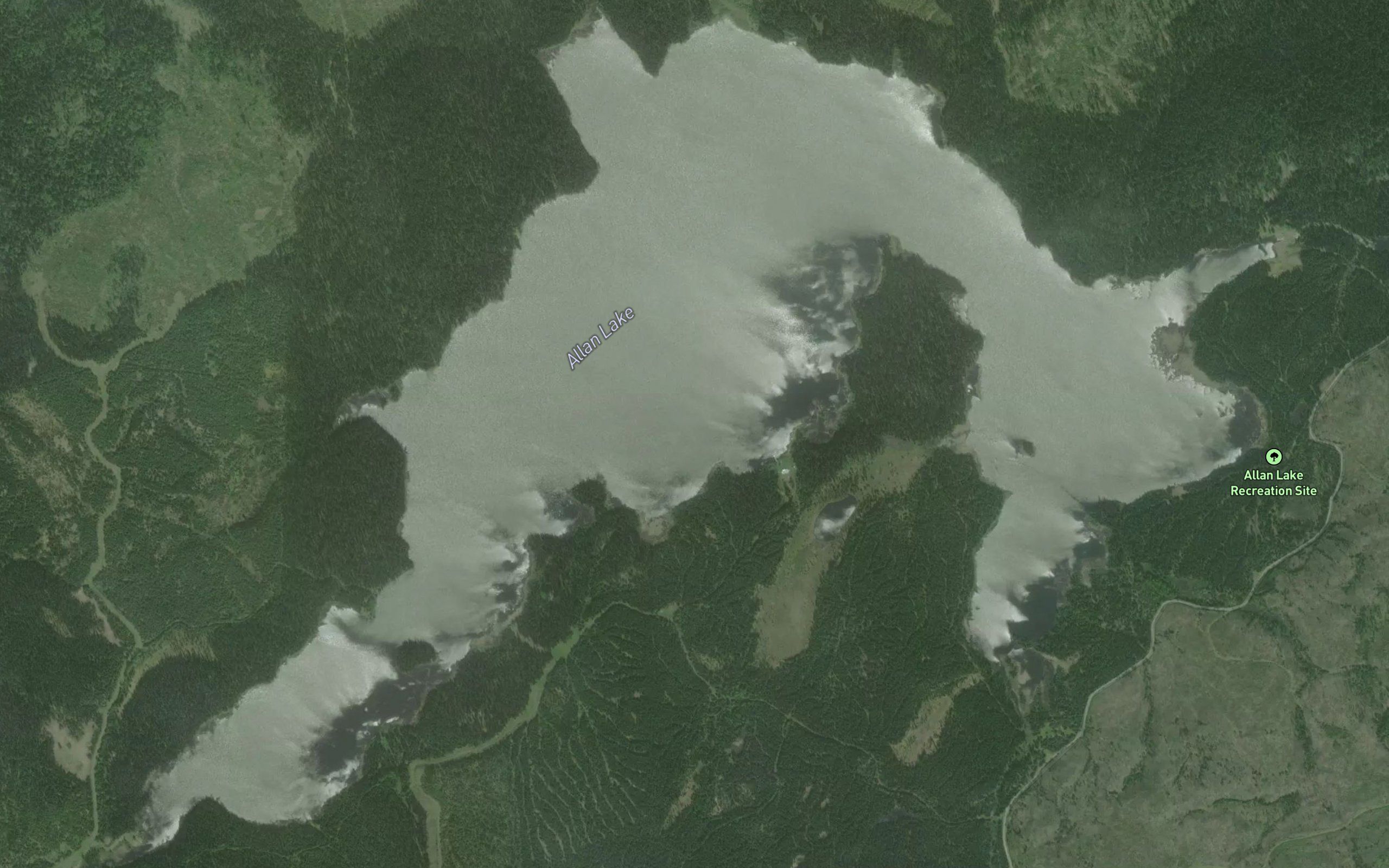 Allan Lake