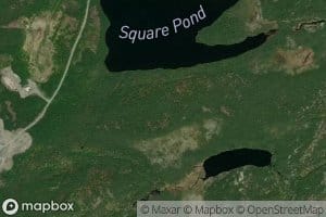 Square Pond