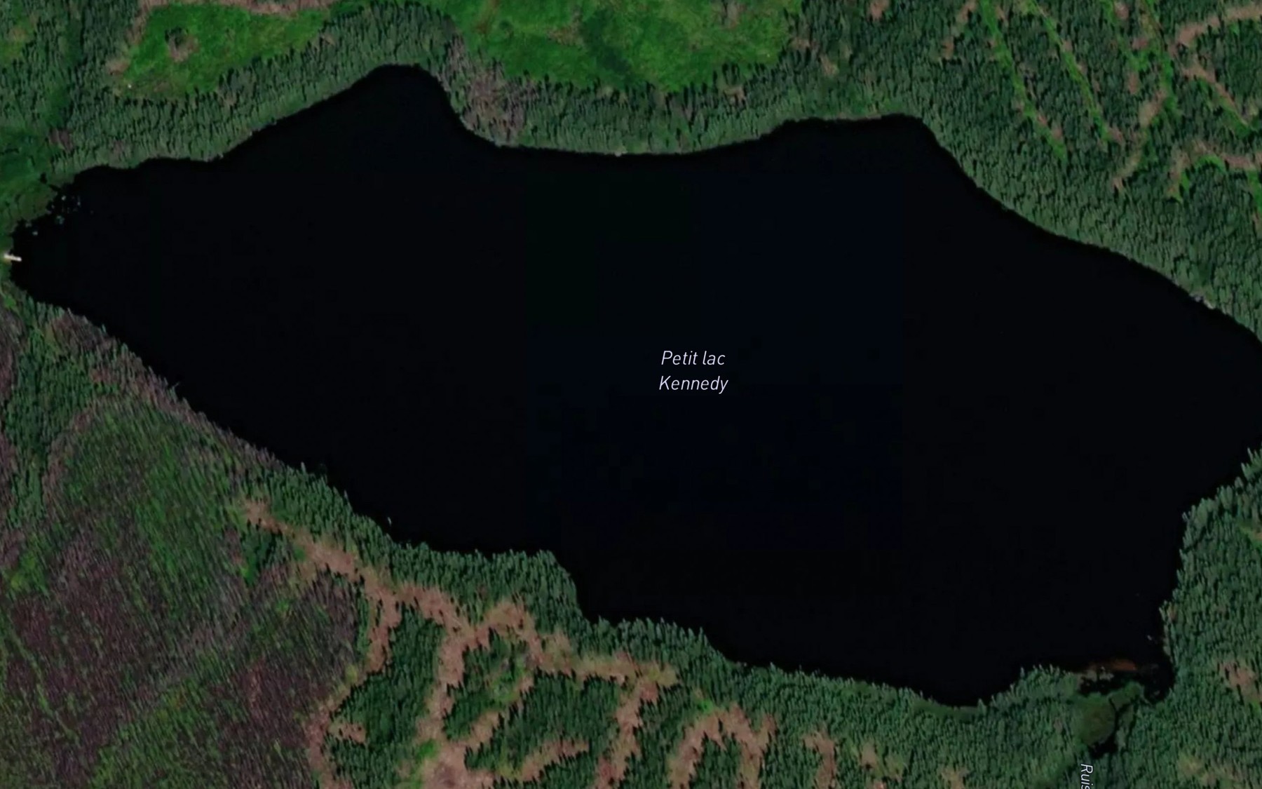 Satellite map of the Petit lac Kennedy