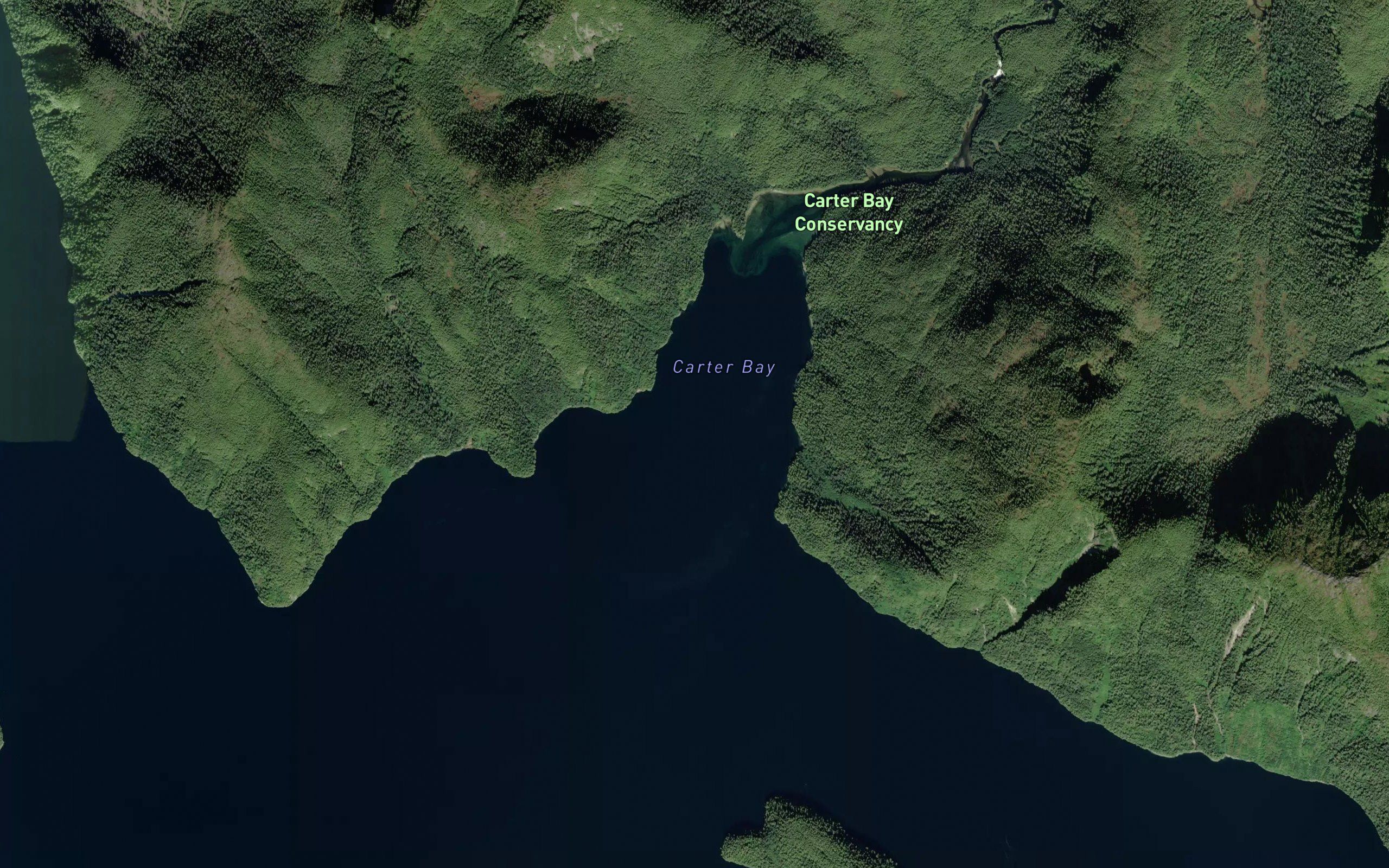 Carter Bay
