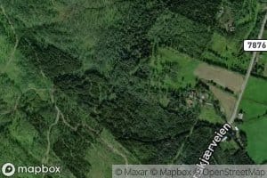 Arneselva