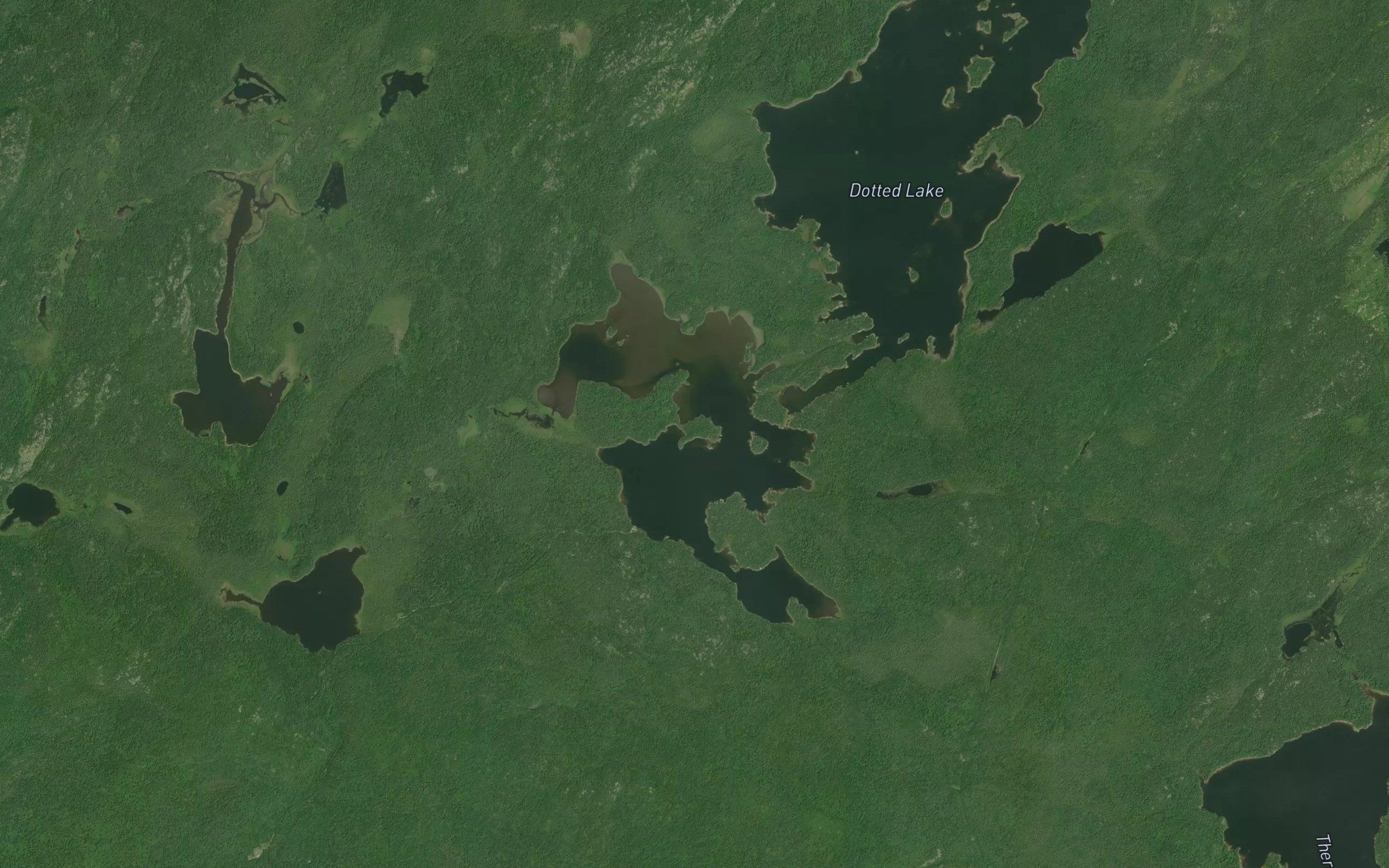 Dead Otter Lake