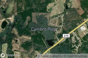 Cambro Pond