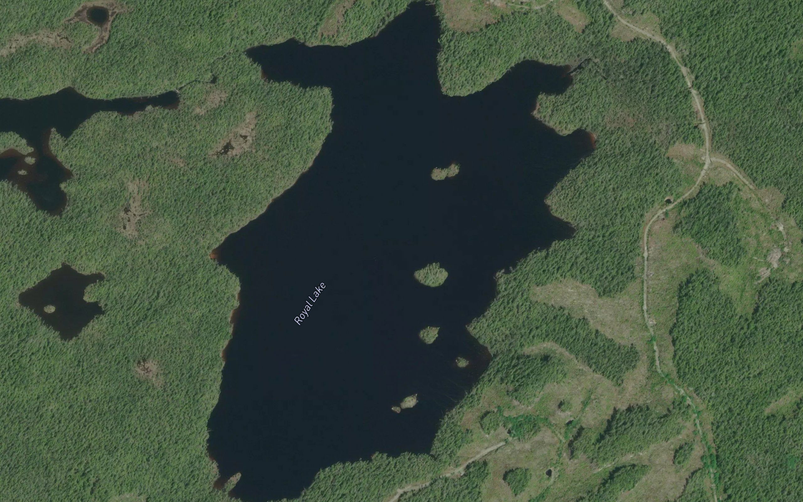 Royal Lake