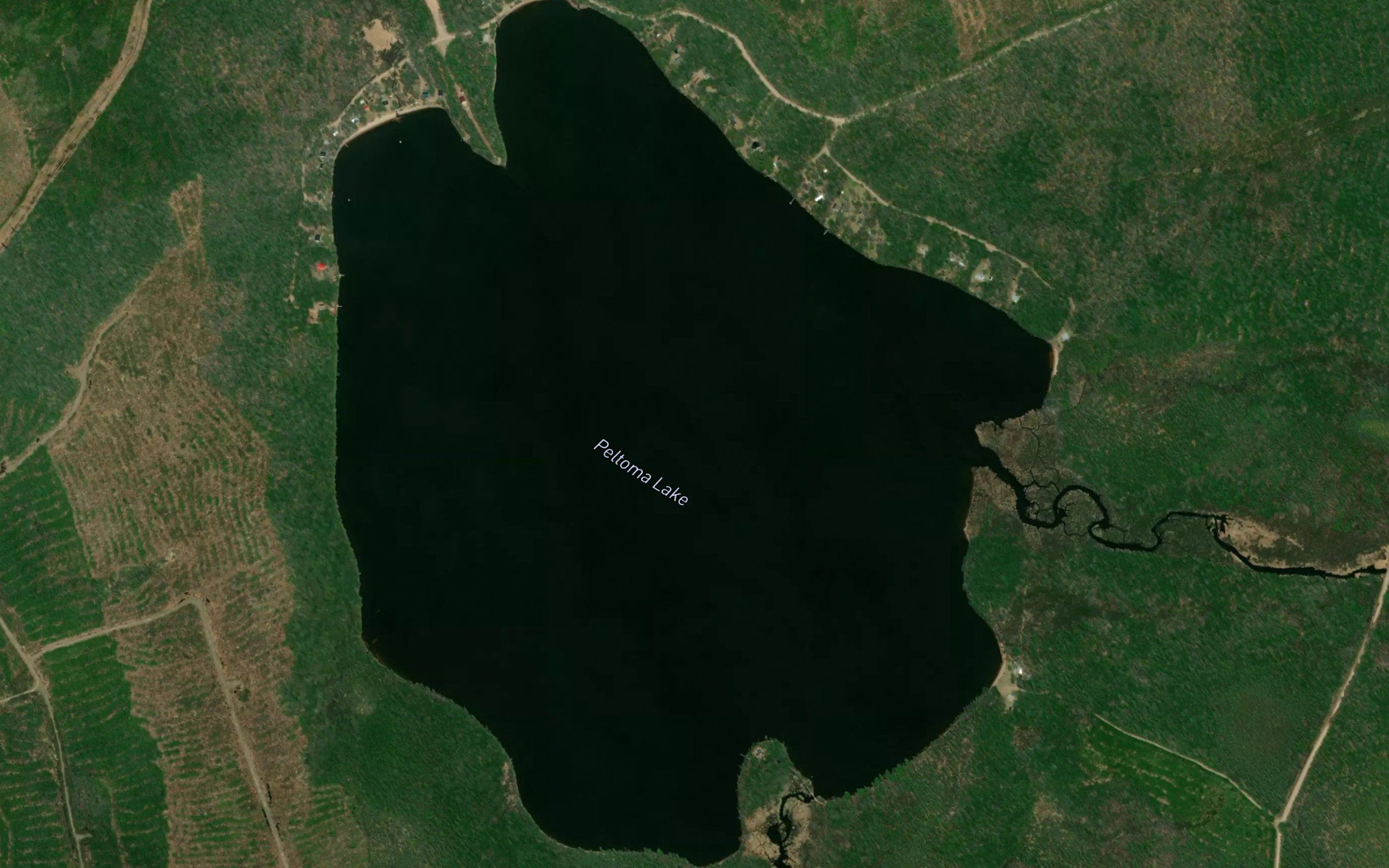 Peltoma Lake