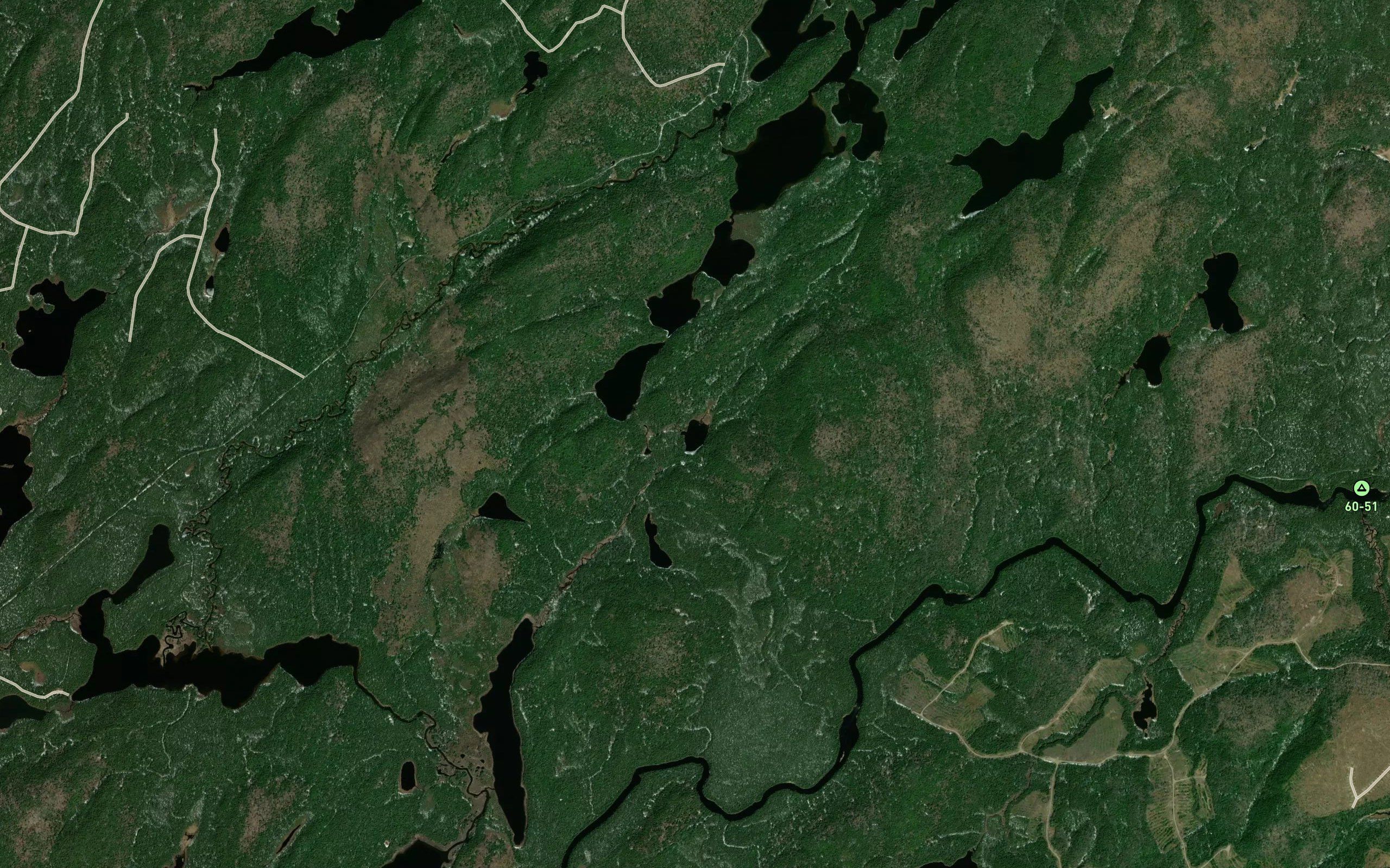 Lac Organdi