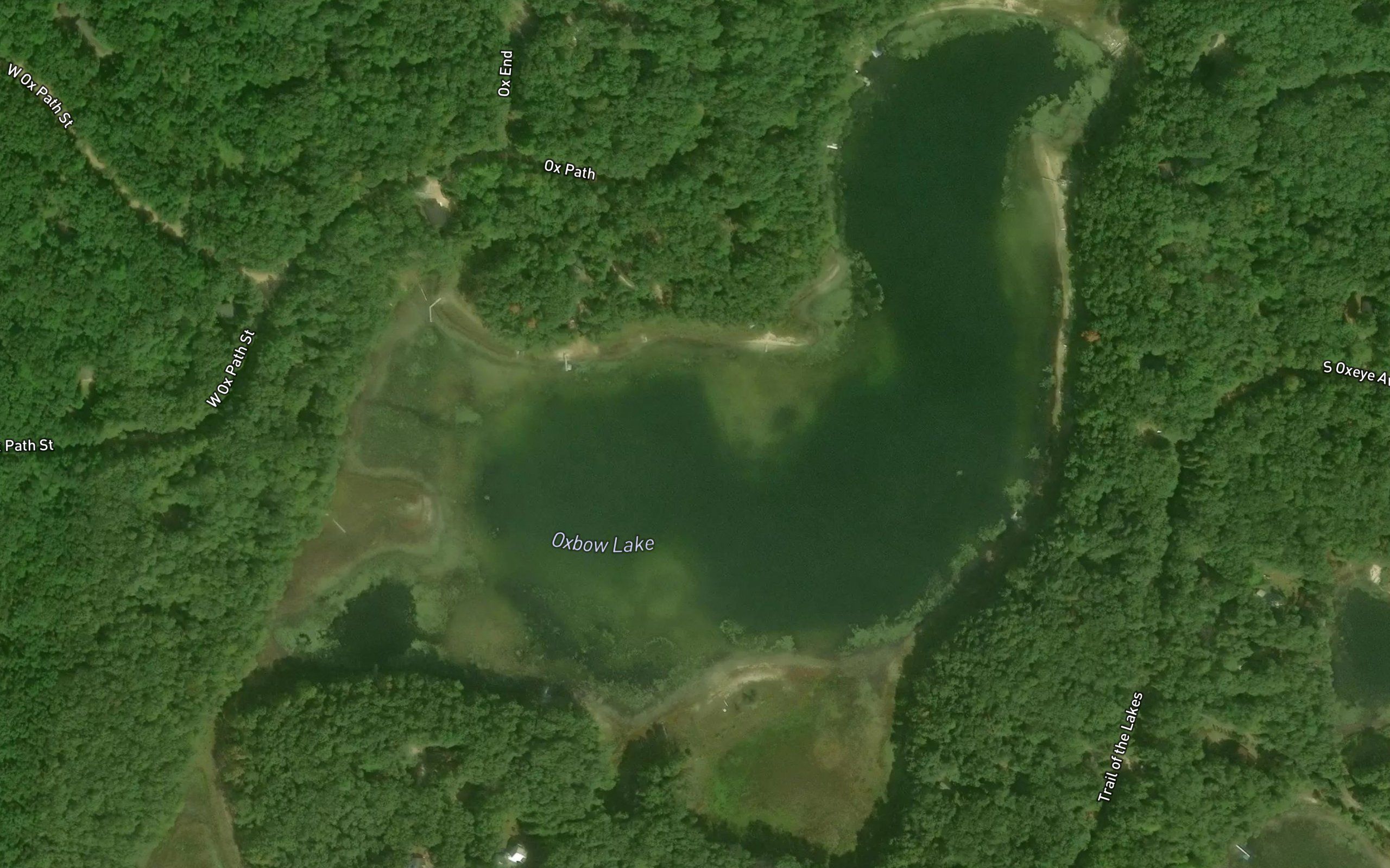 Oxbow Lake