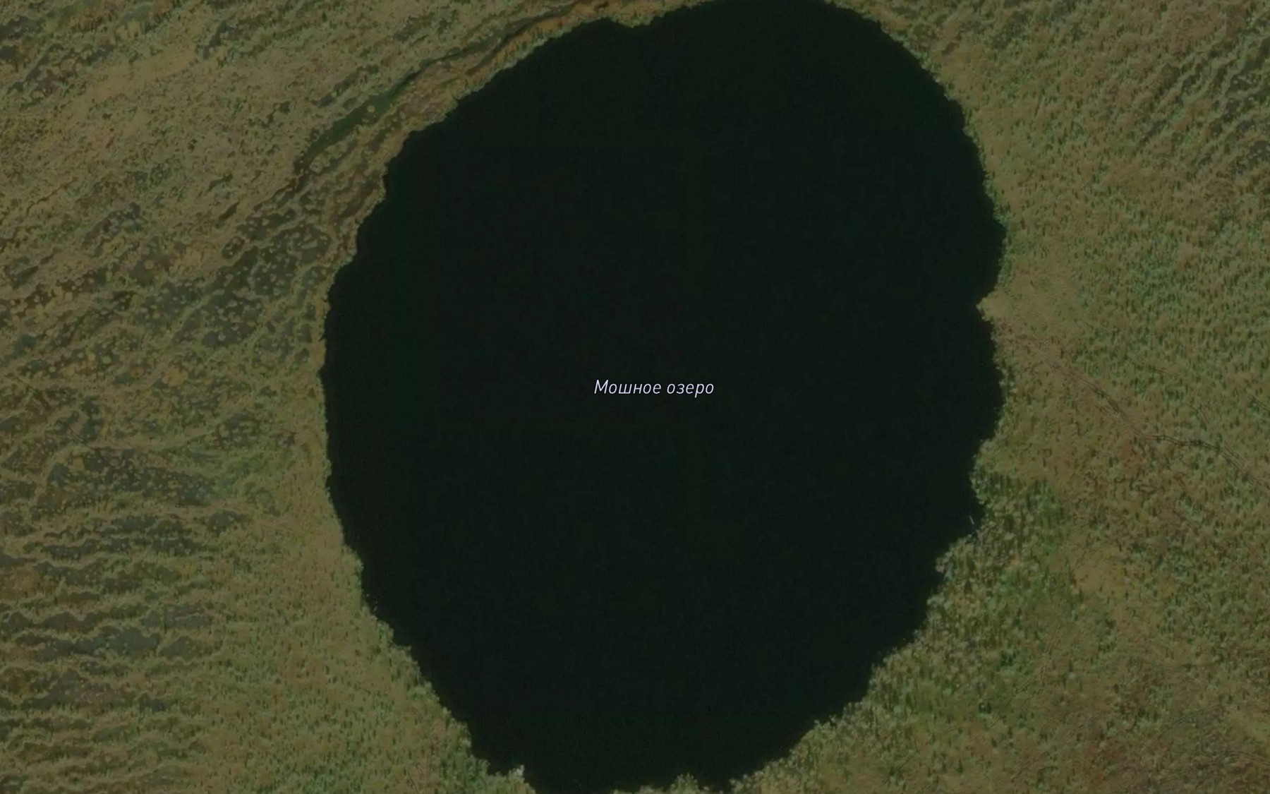 Satellite map of the Ozero Moshnoye