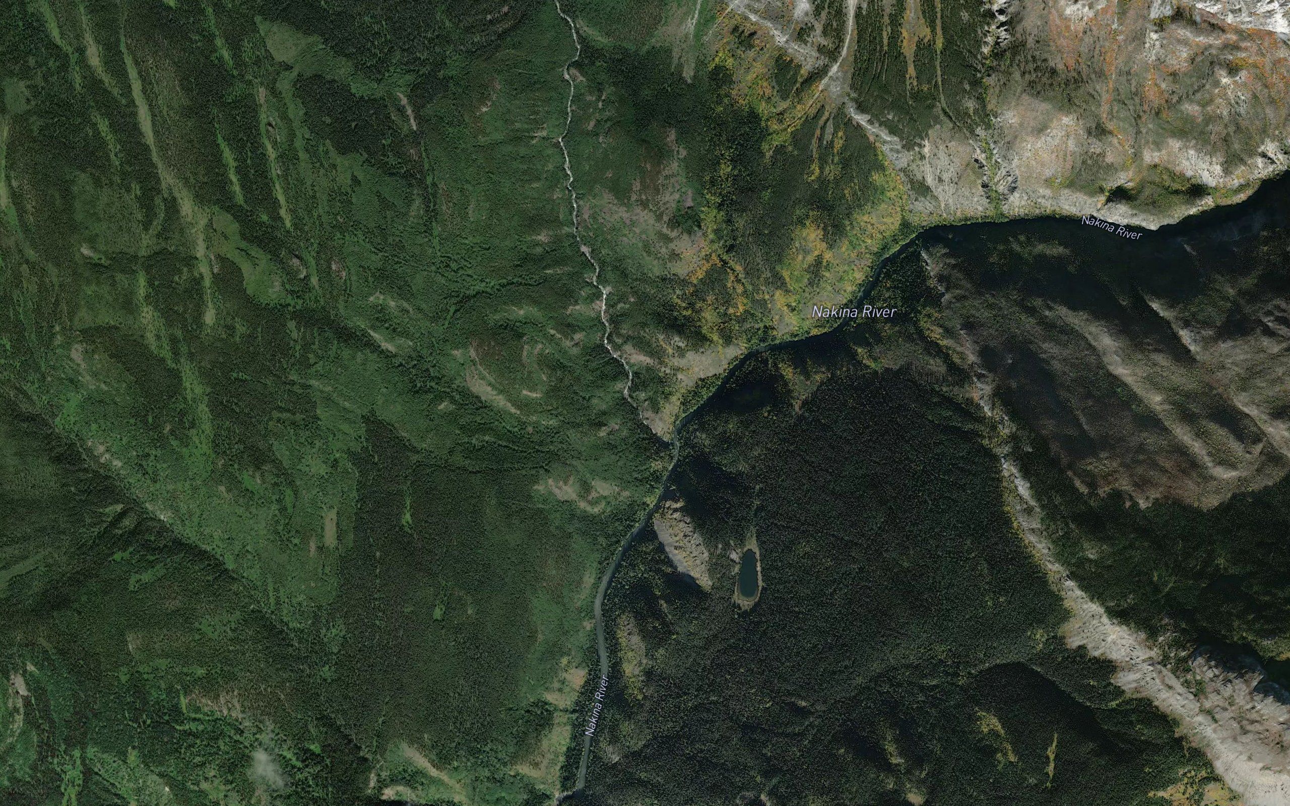 Silver Salmon River