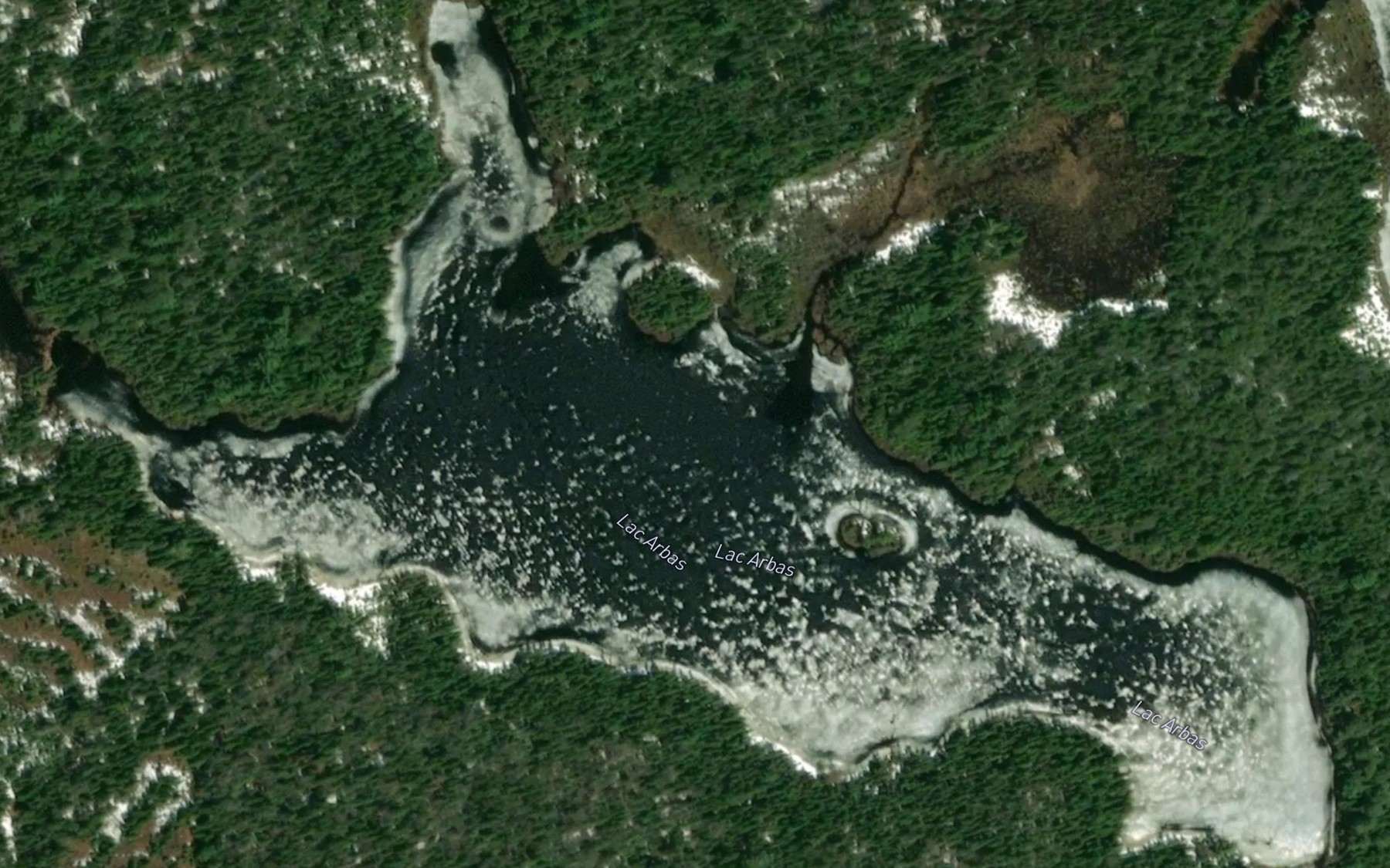 Satellite map of the Lac Arbas