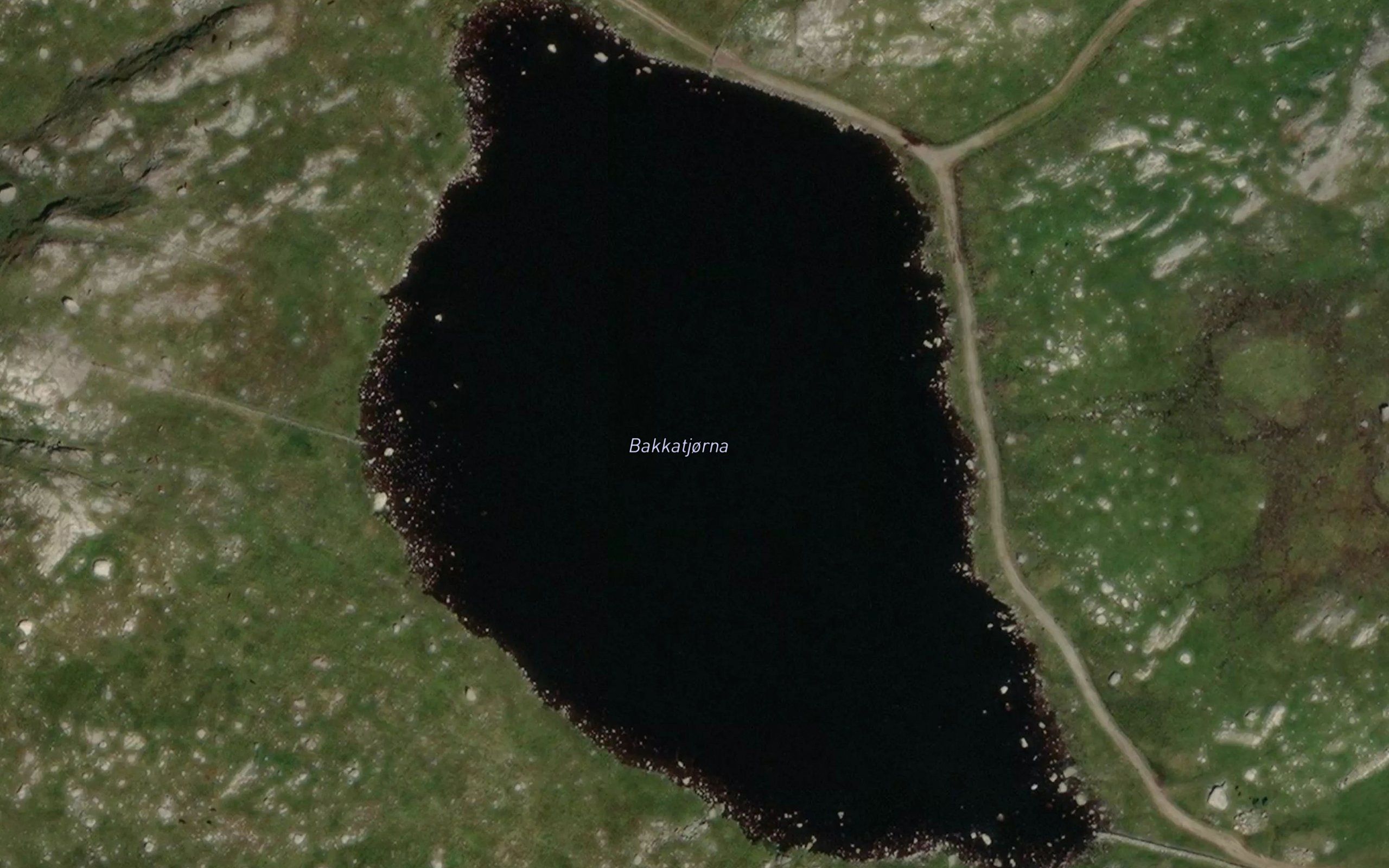 Bakkatjorna
