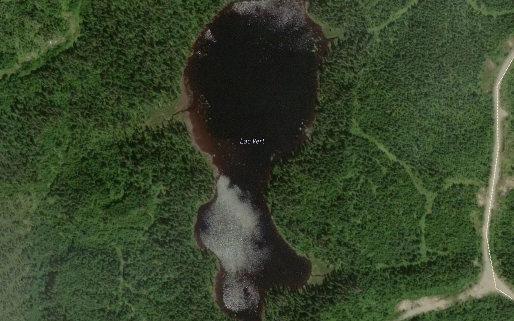 Satellite map of the Lac Vert
