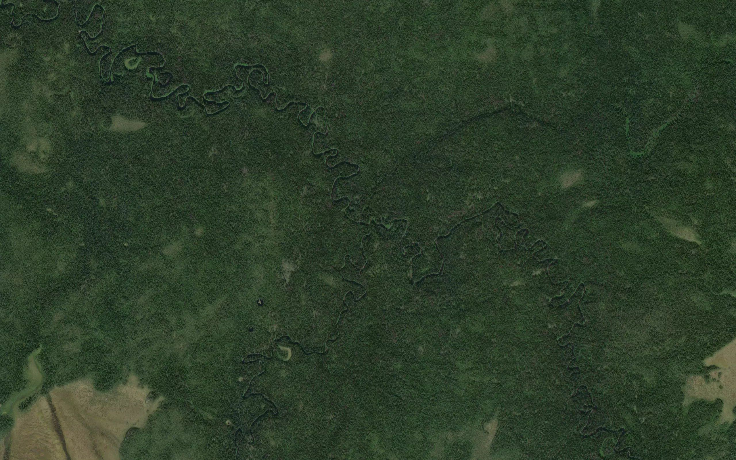 Nyukhalova