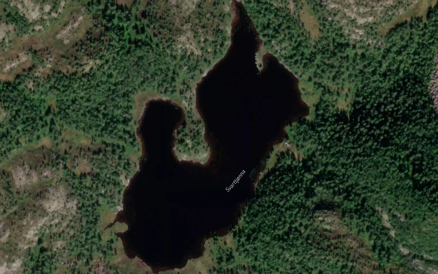 Satellite map of the Svarttjorna