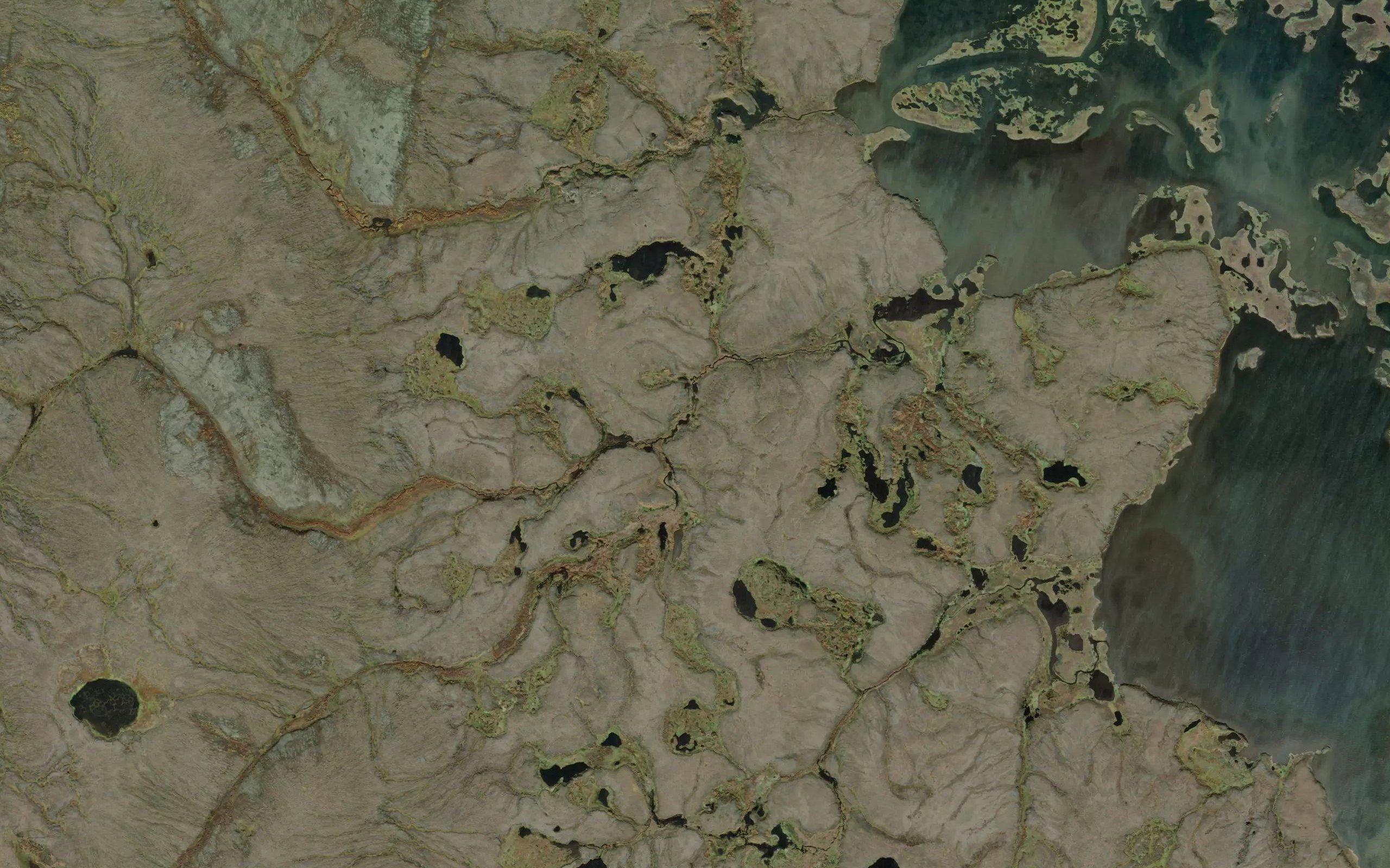 Dog Creek