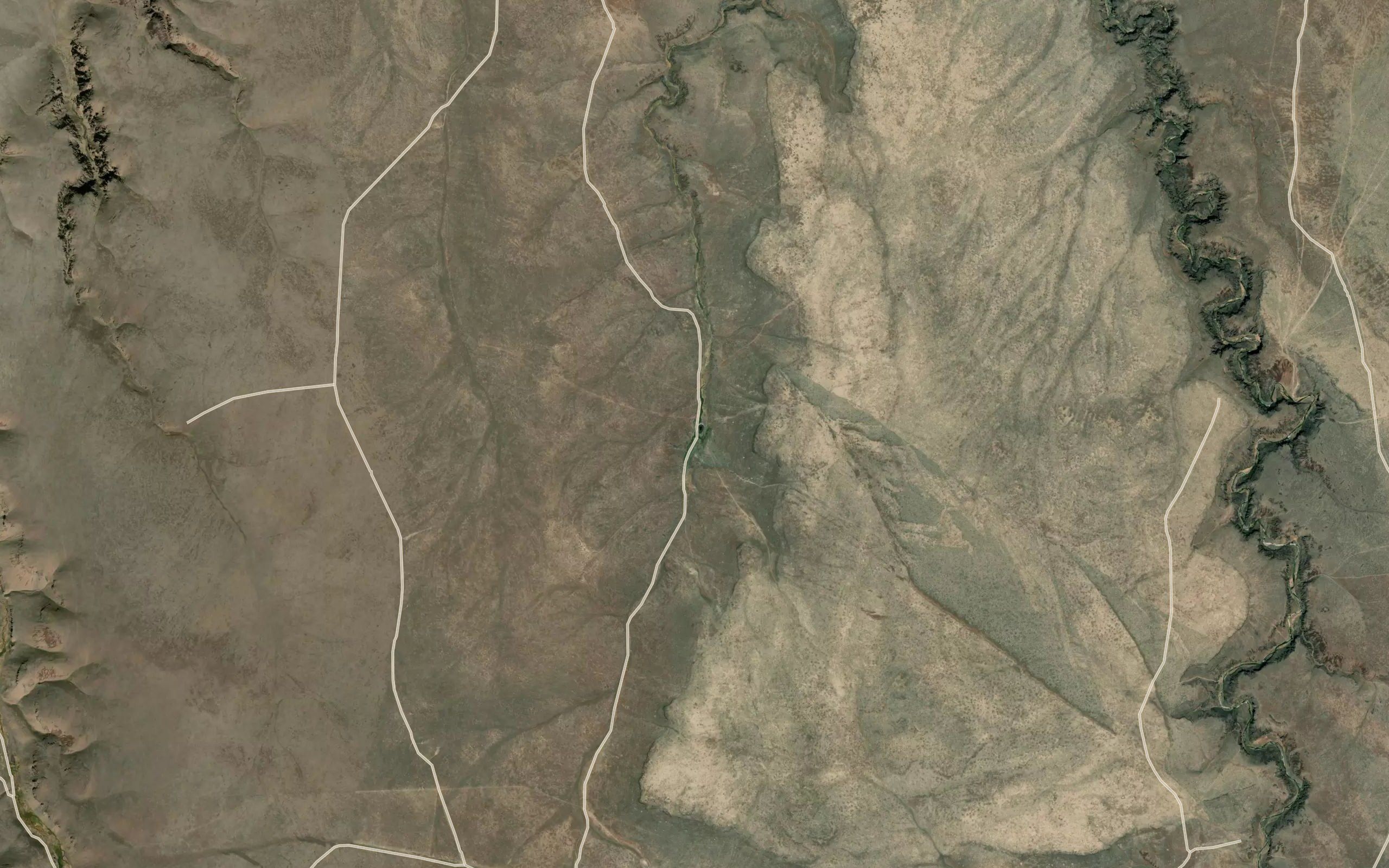 Coyote Spring