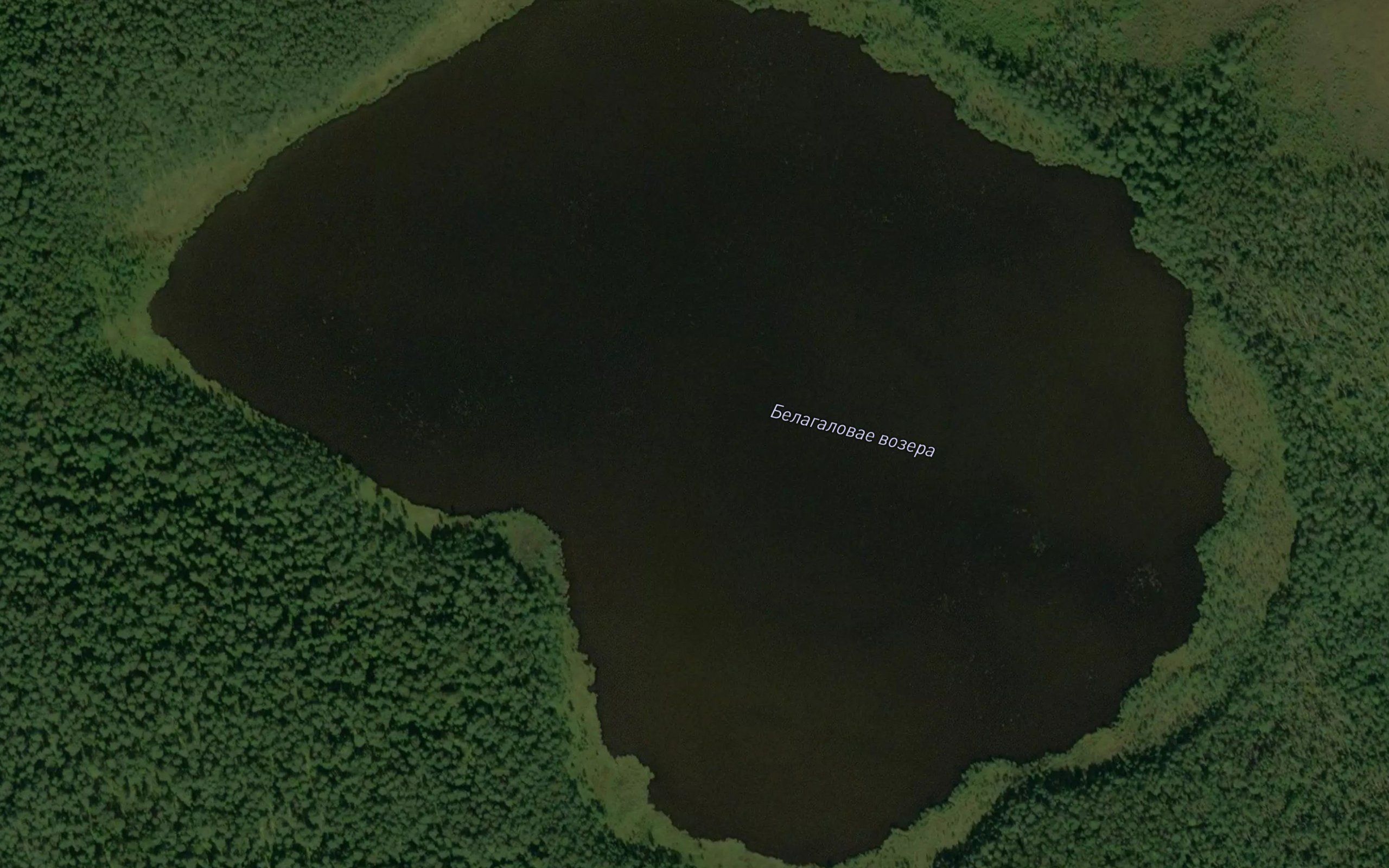 Ozero Belogolovoye