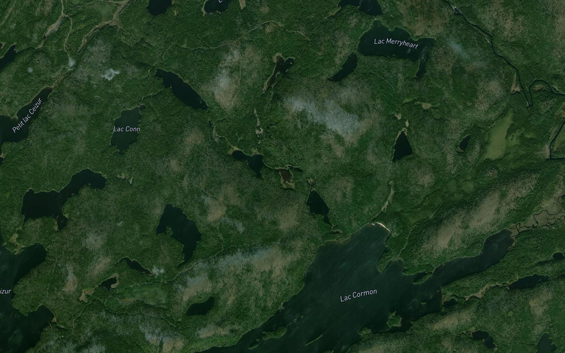 Satellite map of the Lac a la Vase