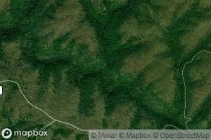 Poison Honey Fork