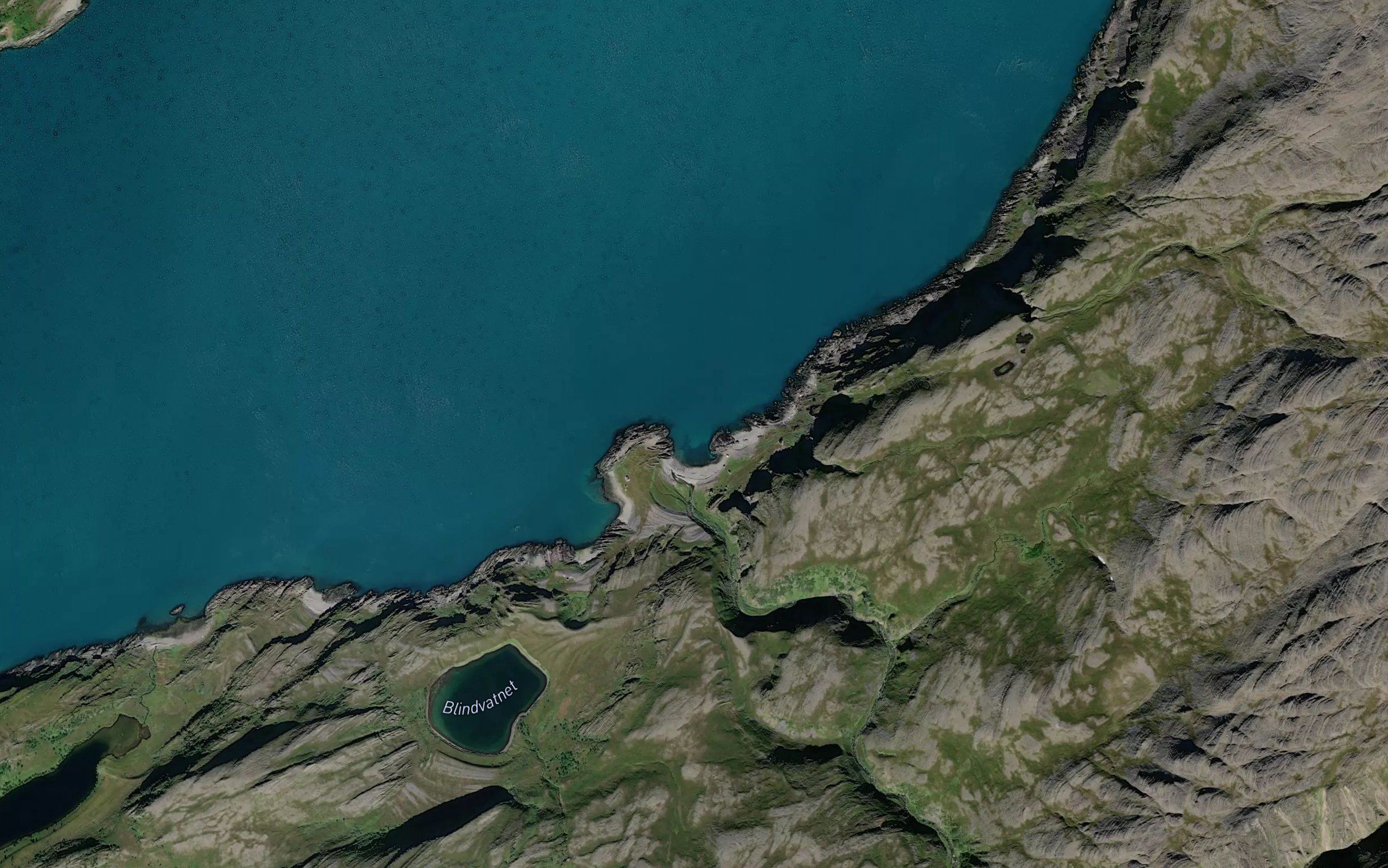 Skovika