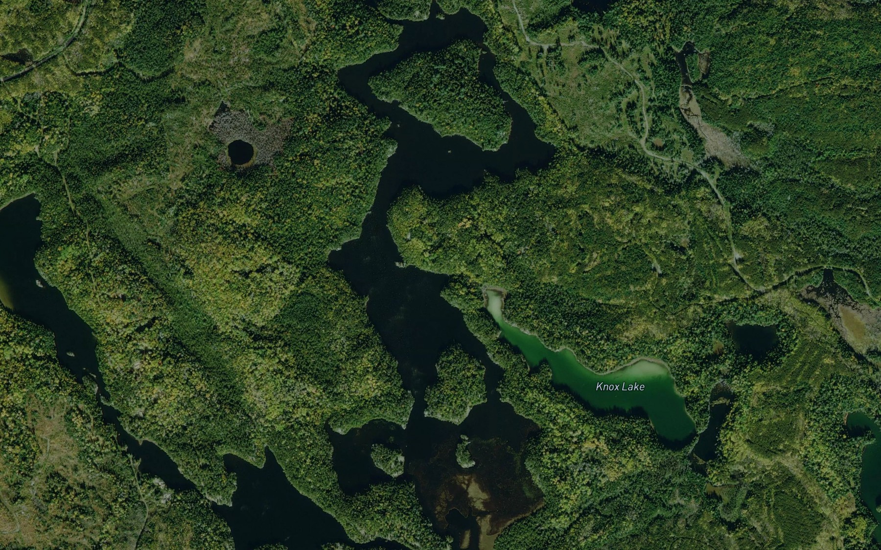 Satellite map of the Wasapika Lake