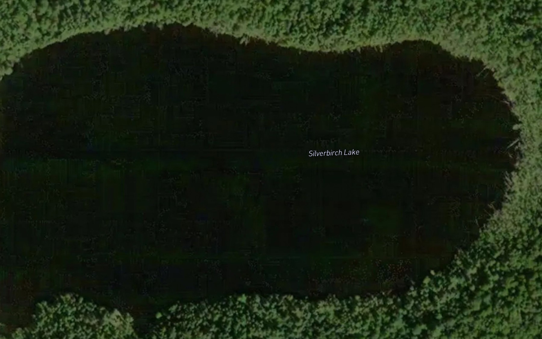 Satellite map of the Silverbirch Lake