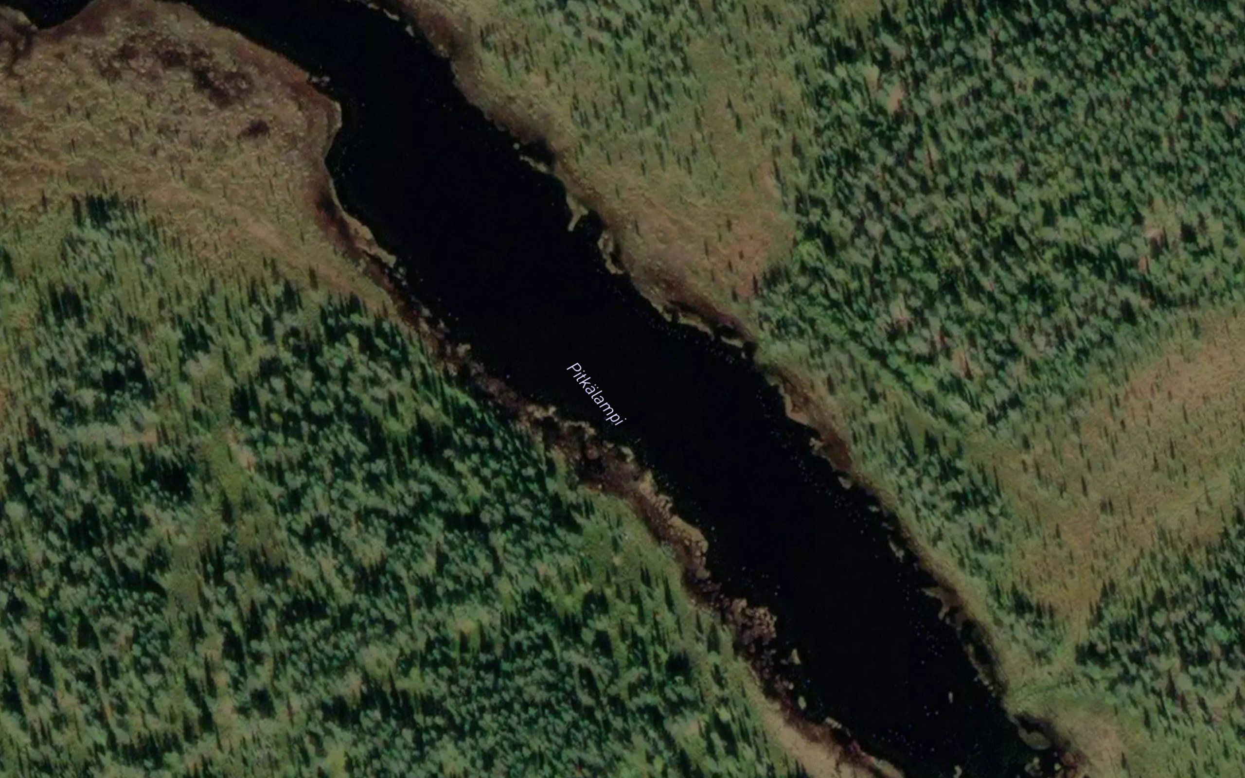 Pitkalampi