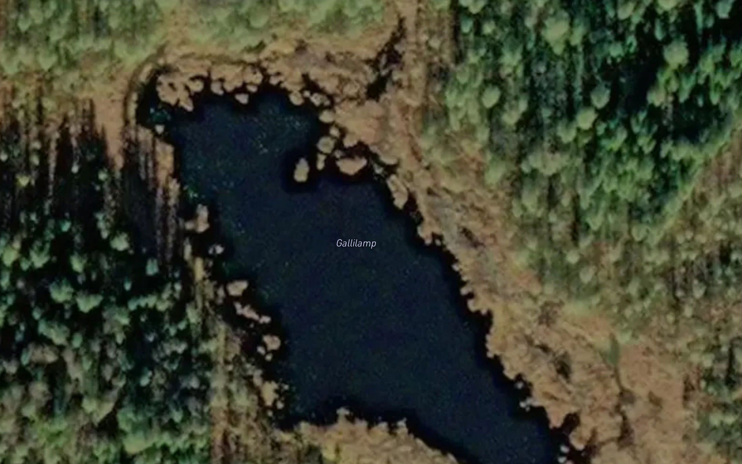 Gallilamp
