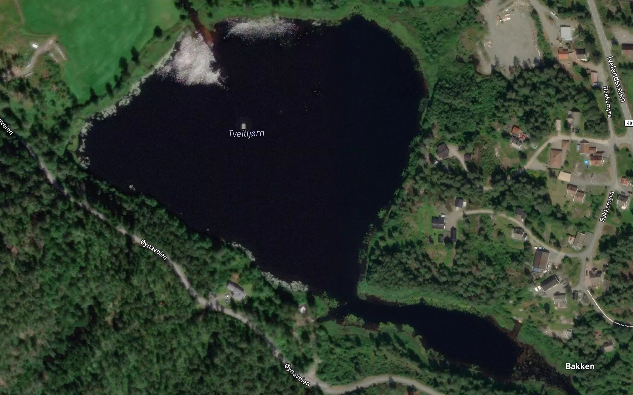 Tveittjorn