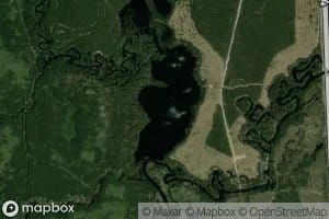 Alligator Lake