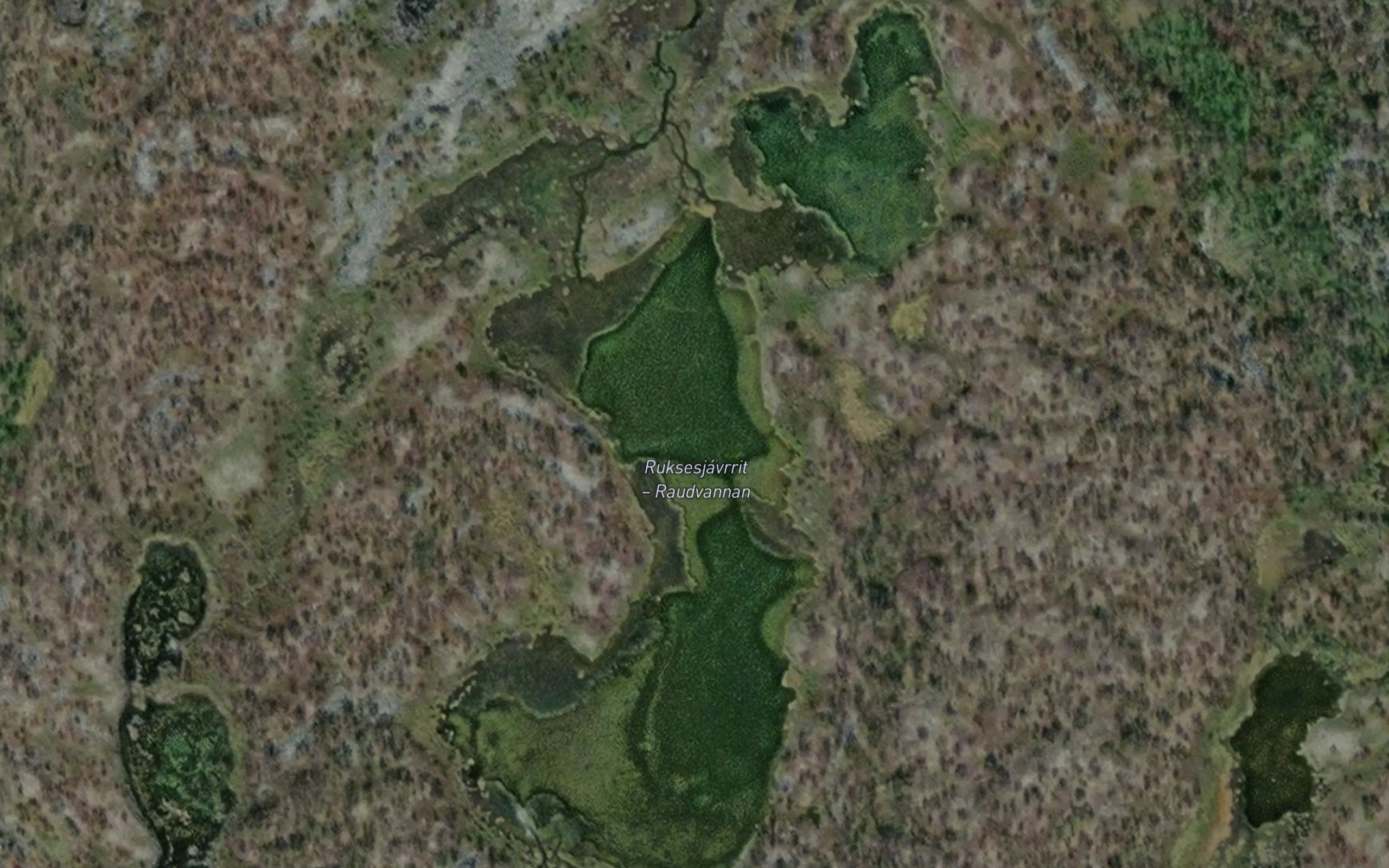 Ruksesjavrit