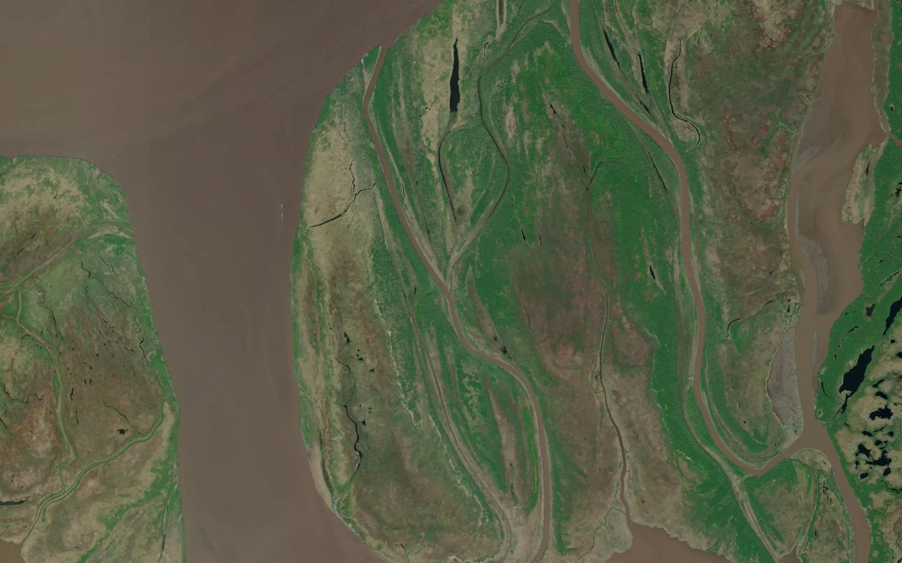 Satellite map of the Taranovokchovik Pass