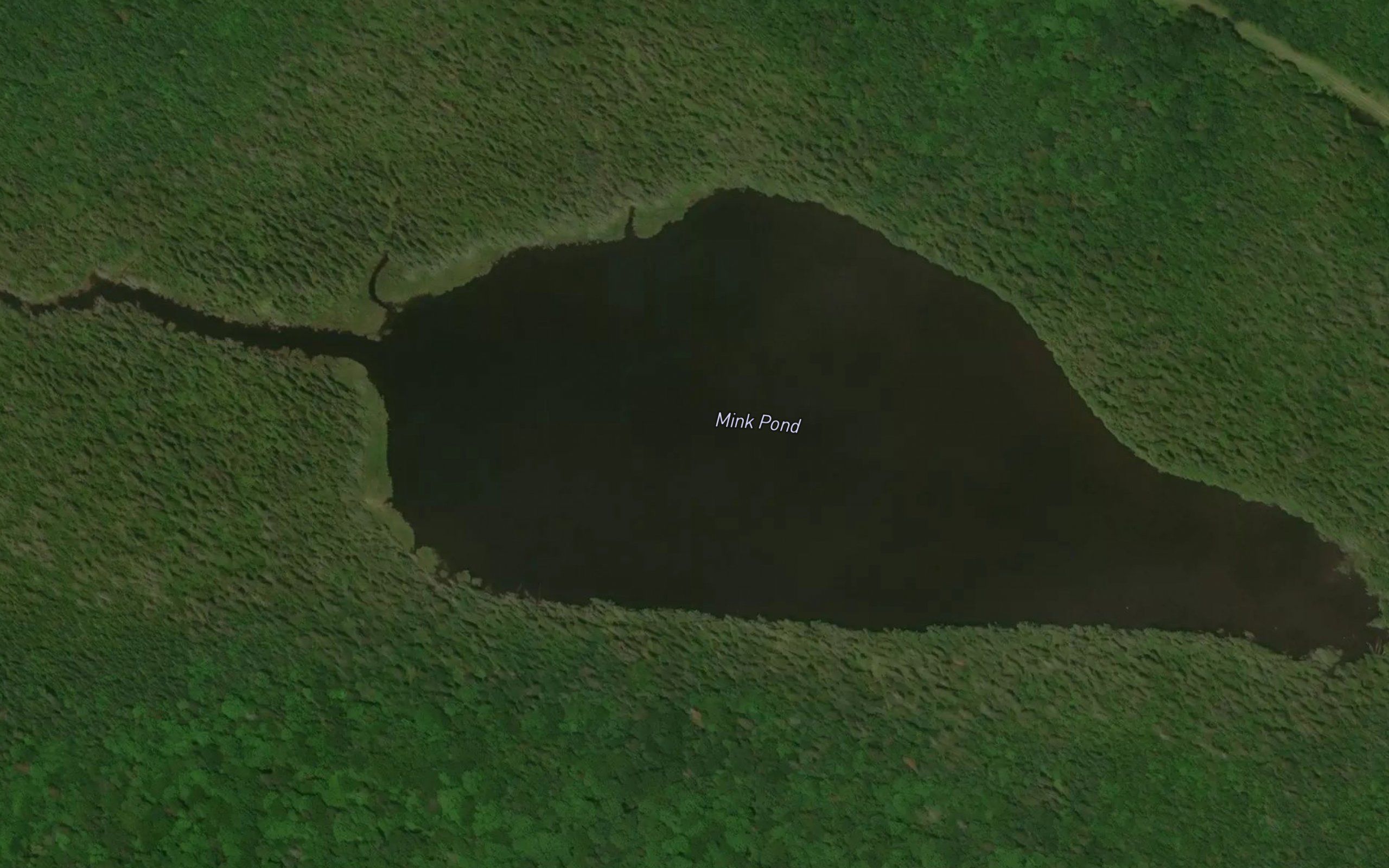 Mink Pond