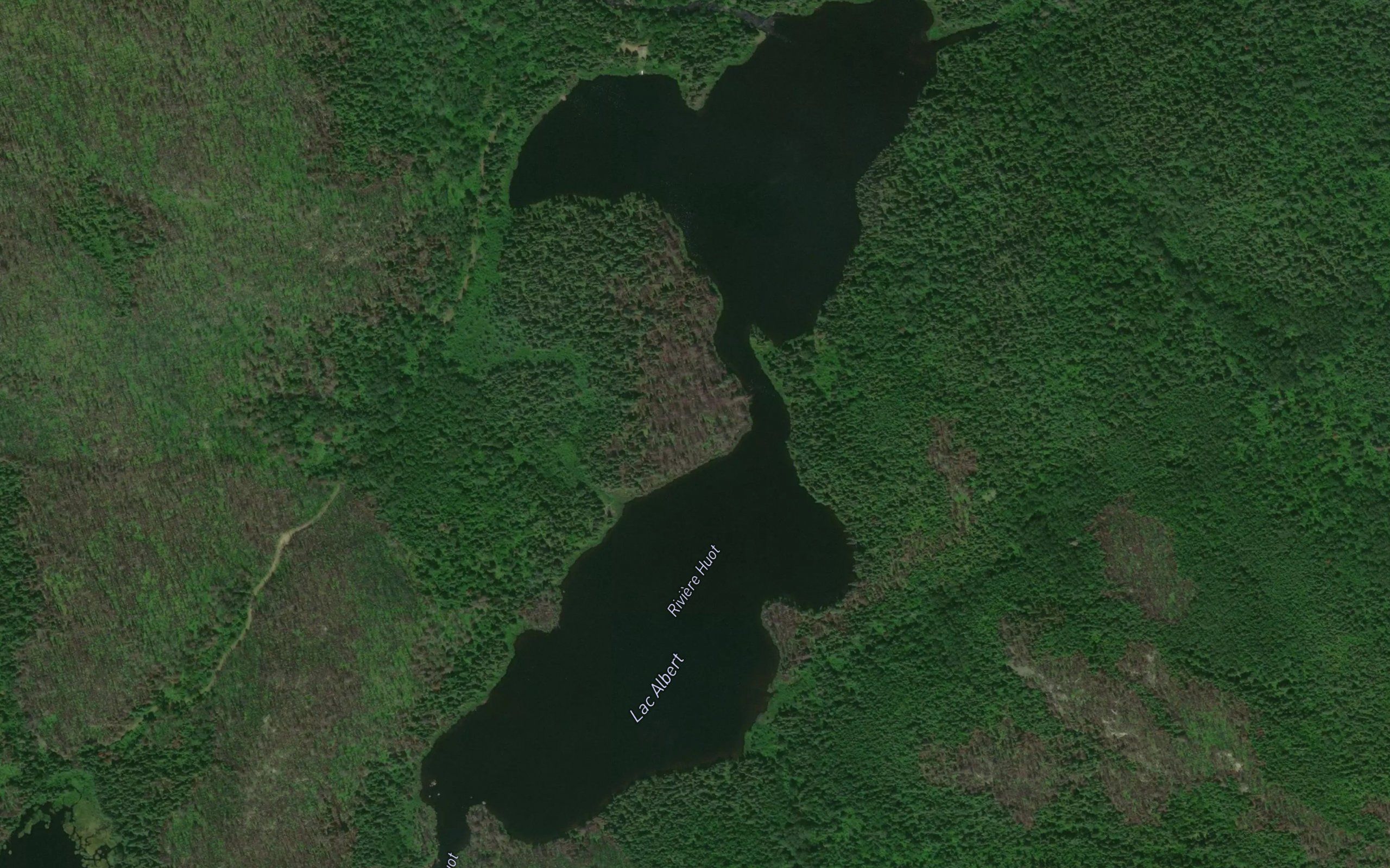 Lac Albert