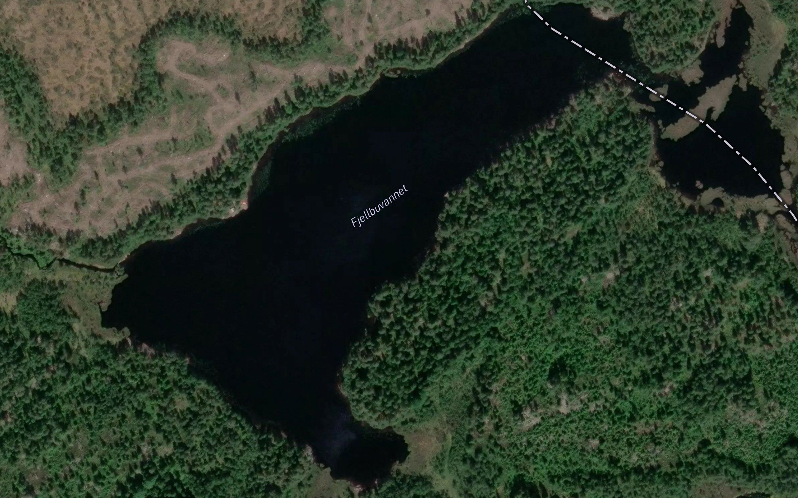 Fjellbutjern