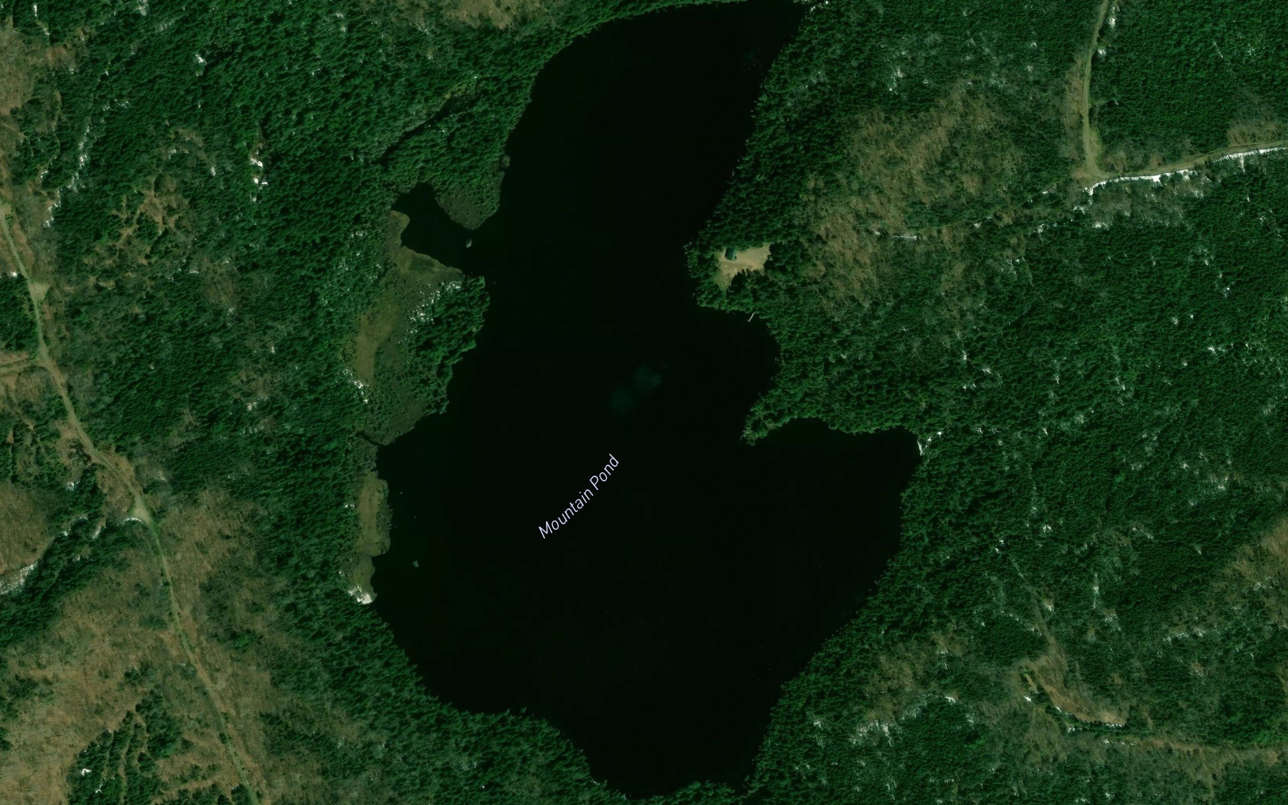 Mountain Pond
